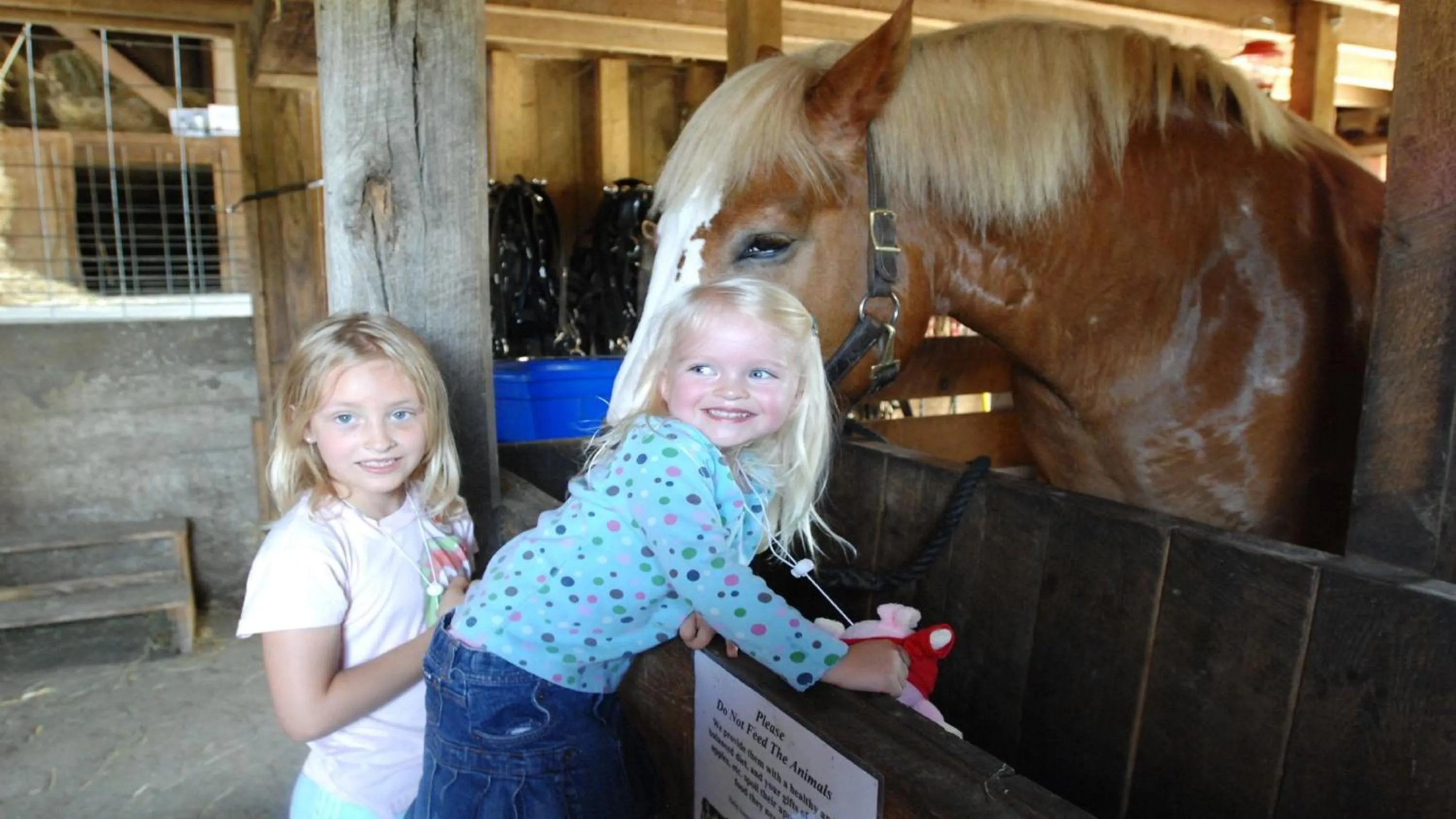 Other in Holiday Inn Chicago North Shore by IHG