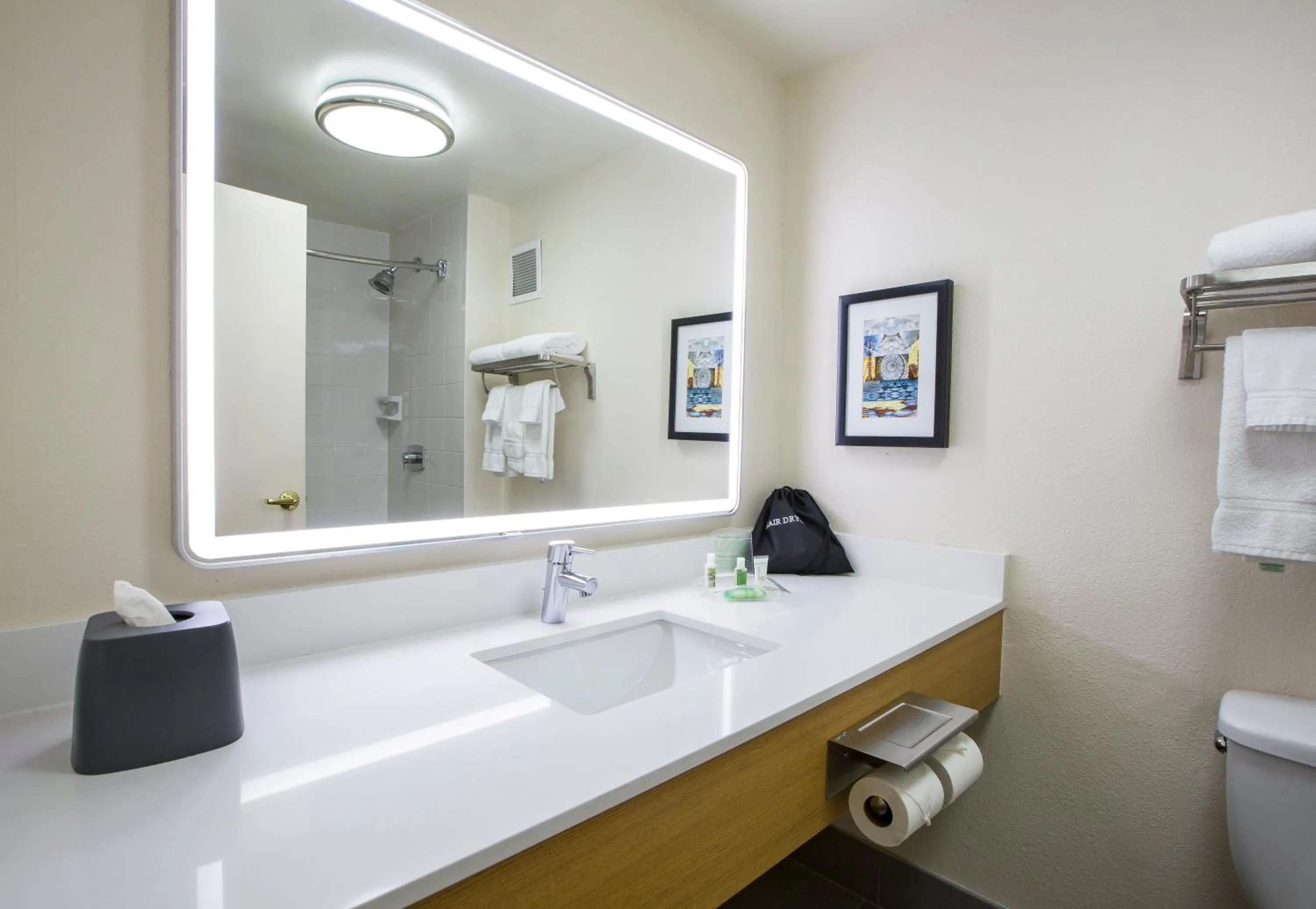 Bathroom in Holiday Inn Chicago North Shore by IHG