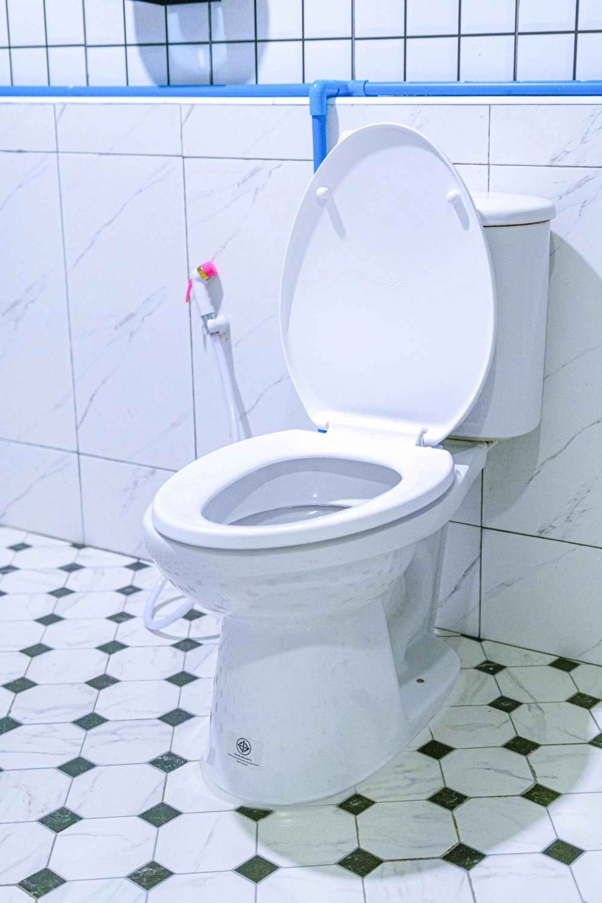 Toilet in Bodega Pai