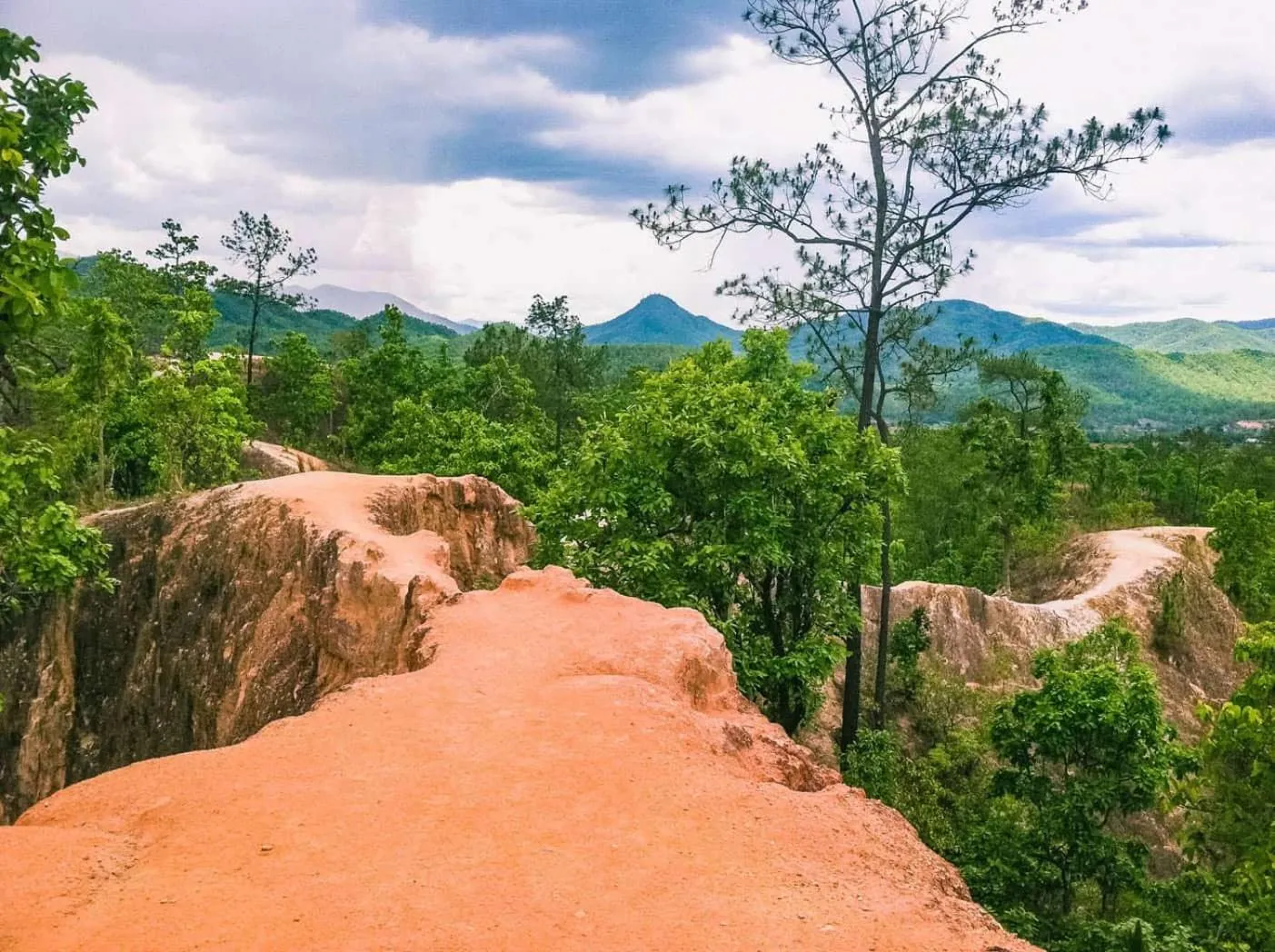 Natural landscape in Bodega Pai