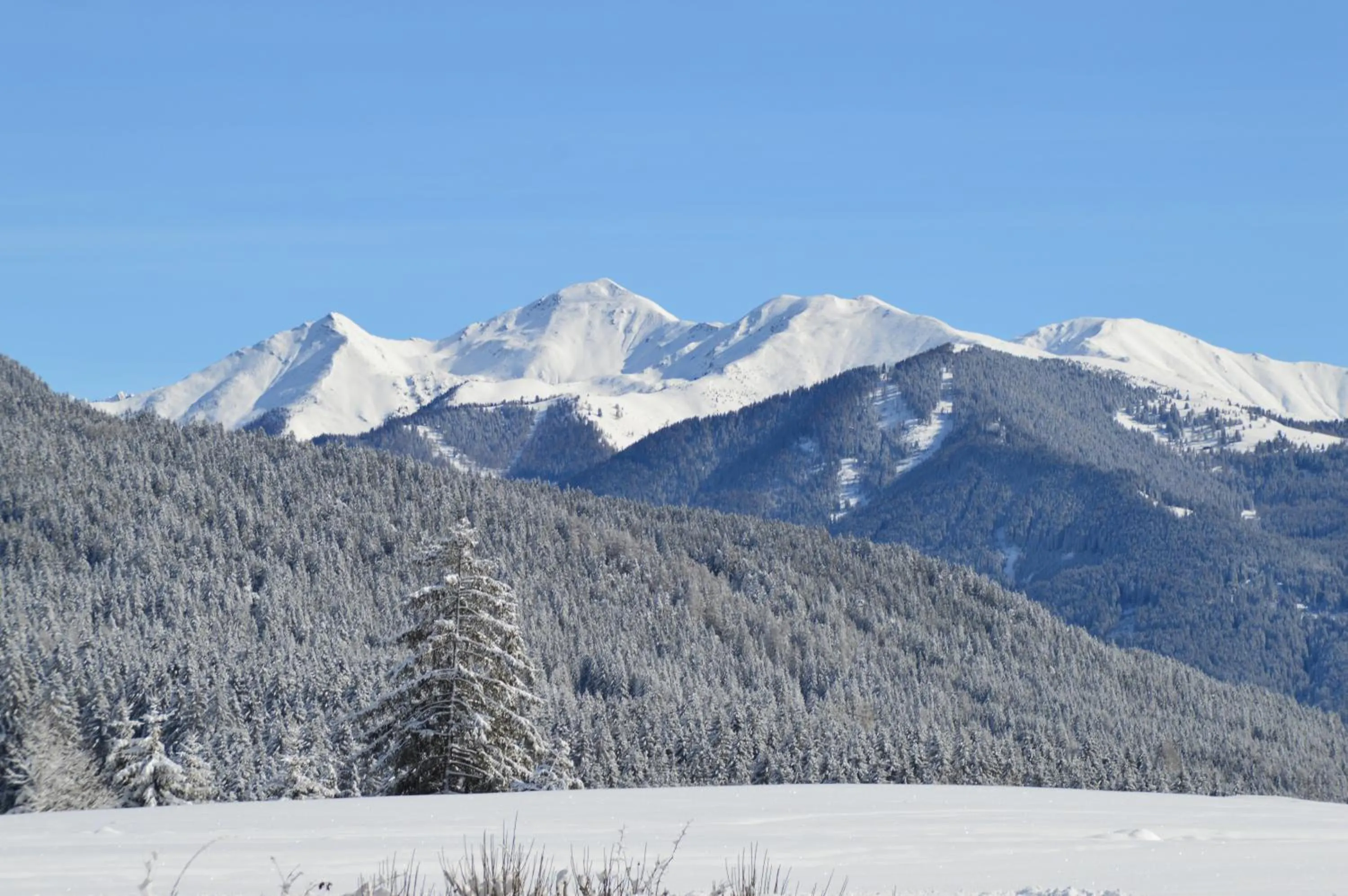 Bird's eye view in Hotel Chalet Olympia