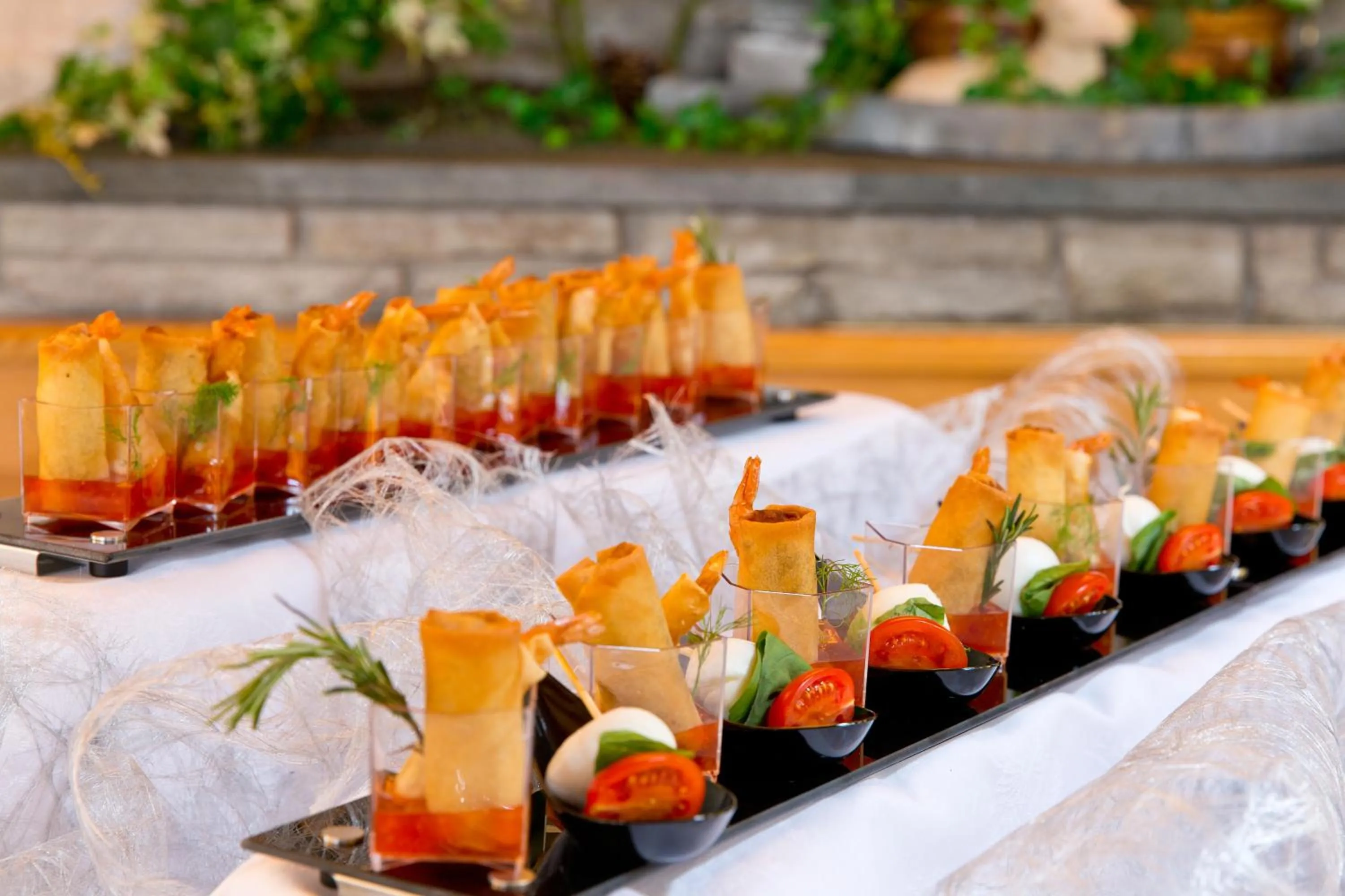 Business facilities in Hotel Chalet Olympia