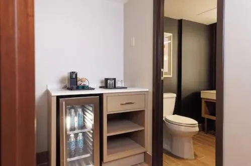 Bathroom in Alyeska Resort