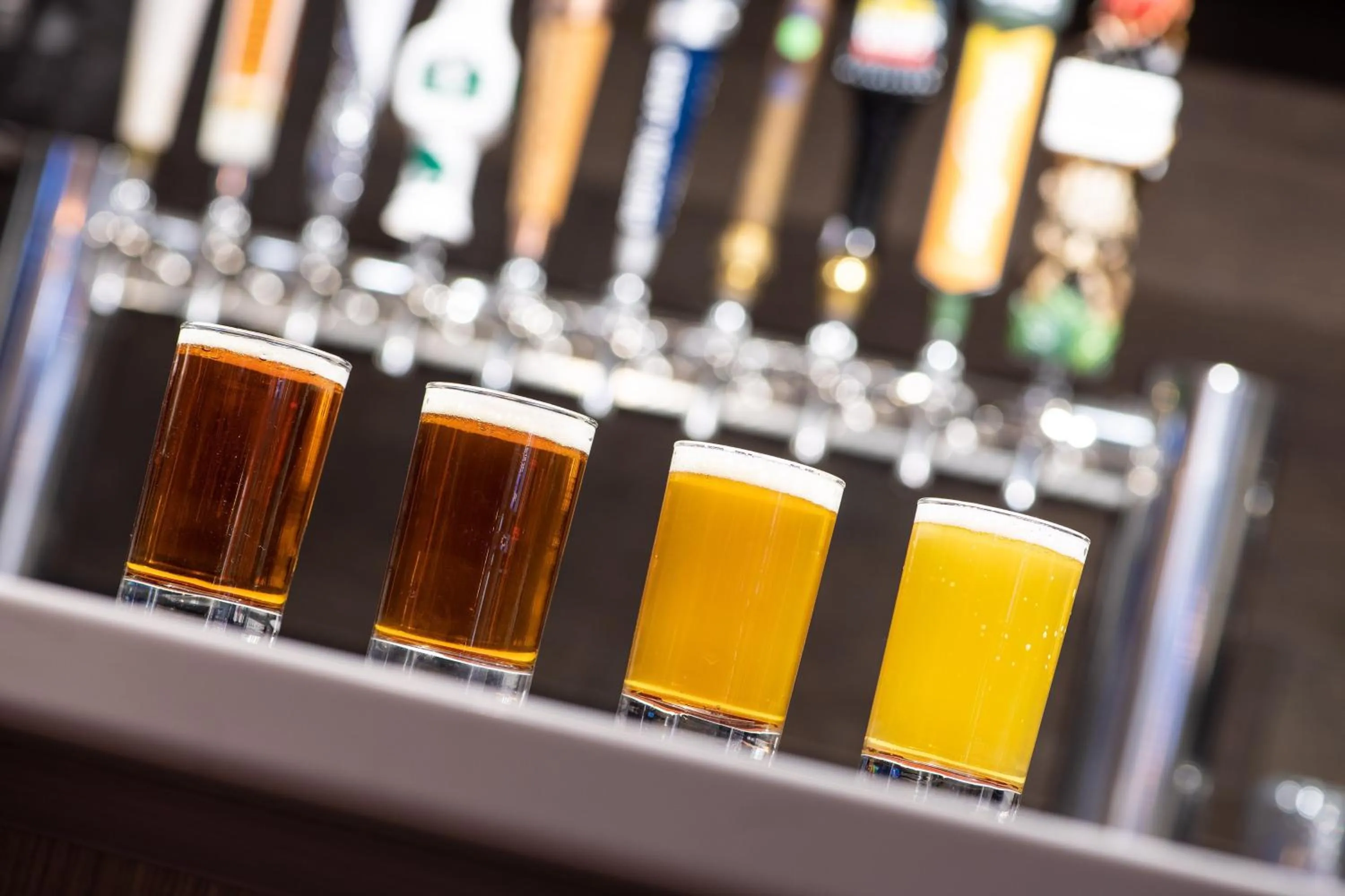 Restaurant/places to eat in Sheraton Milwaukee Brookfield