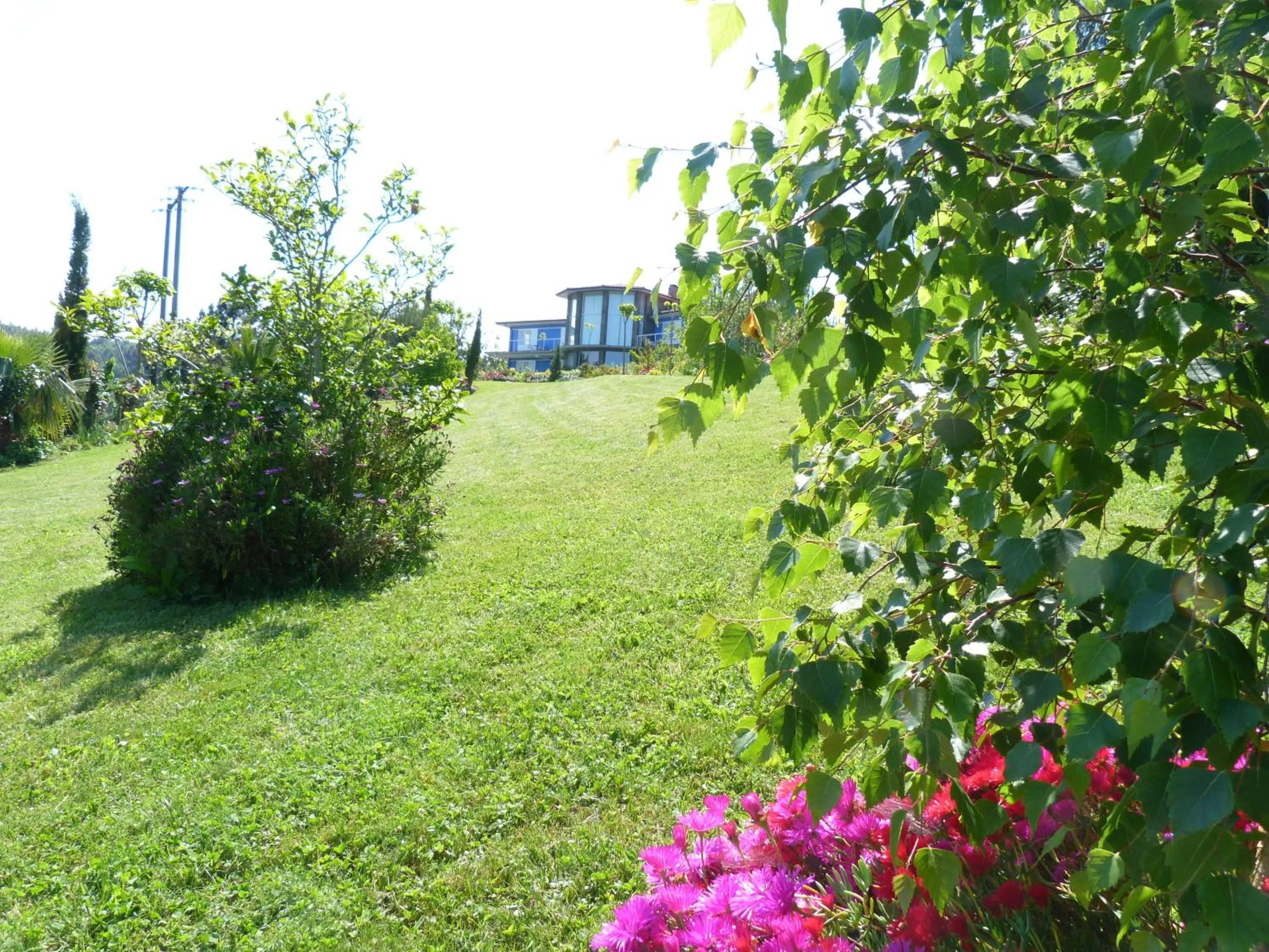 Day in Hotel Garazar