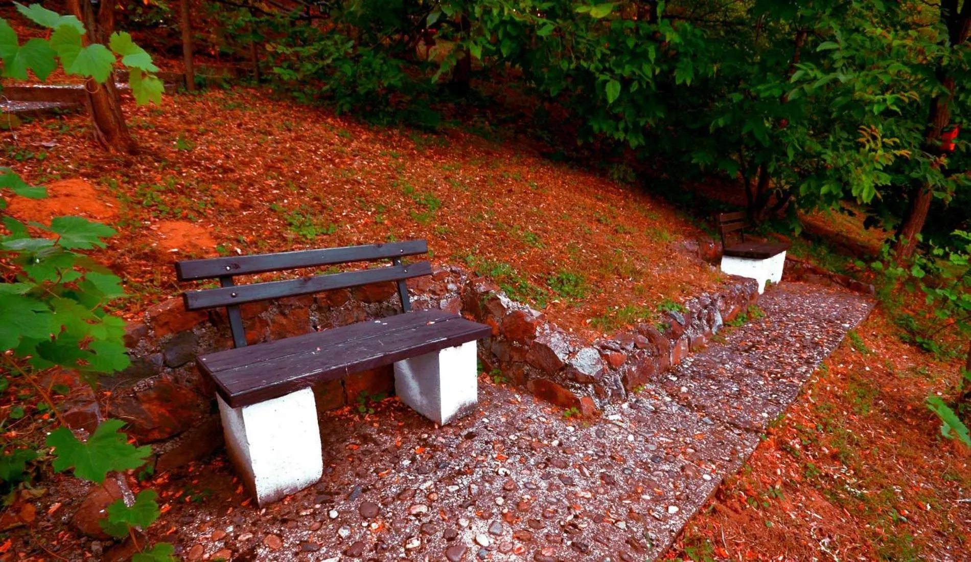 Neighbourhood in Ranč Platan - smeštaj u Nacionalnom parku Fruška gora
