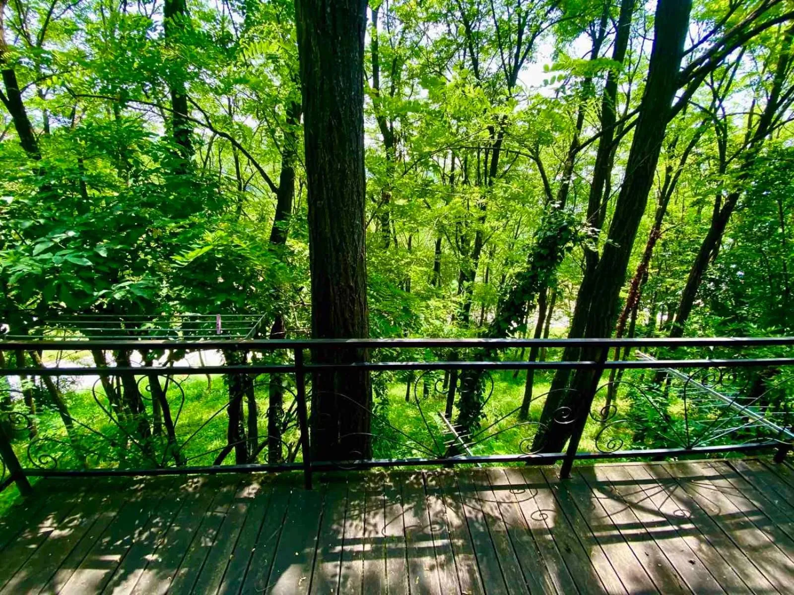 Balcony/Terrace in Ranč Platan - smeštaj u Nacionalnom parku Fruška gora