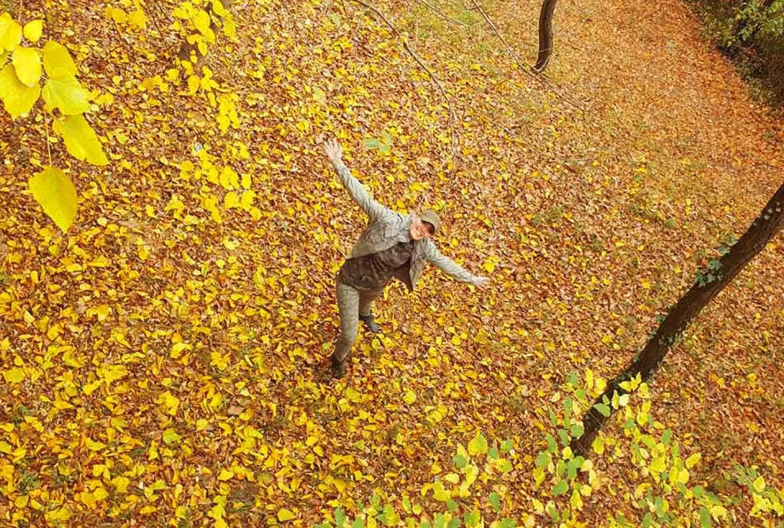 Autumn in Ranč Platan - smeštaj u Nacionalnom parku Fruška gora