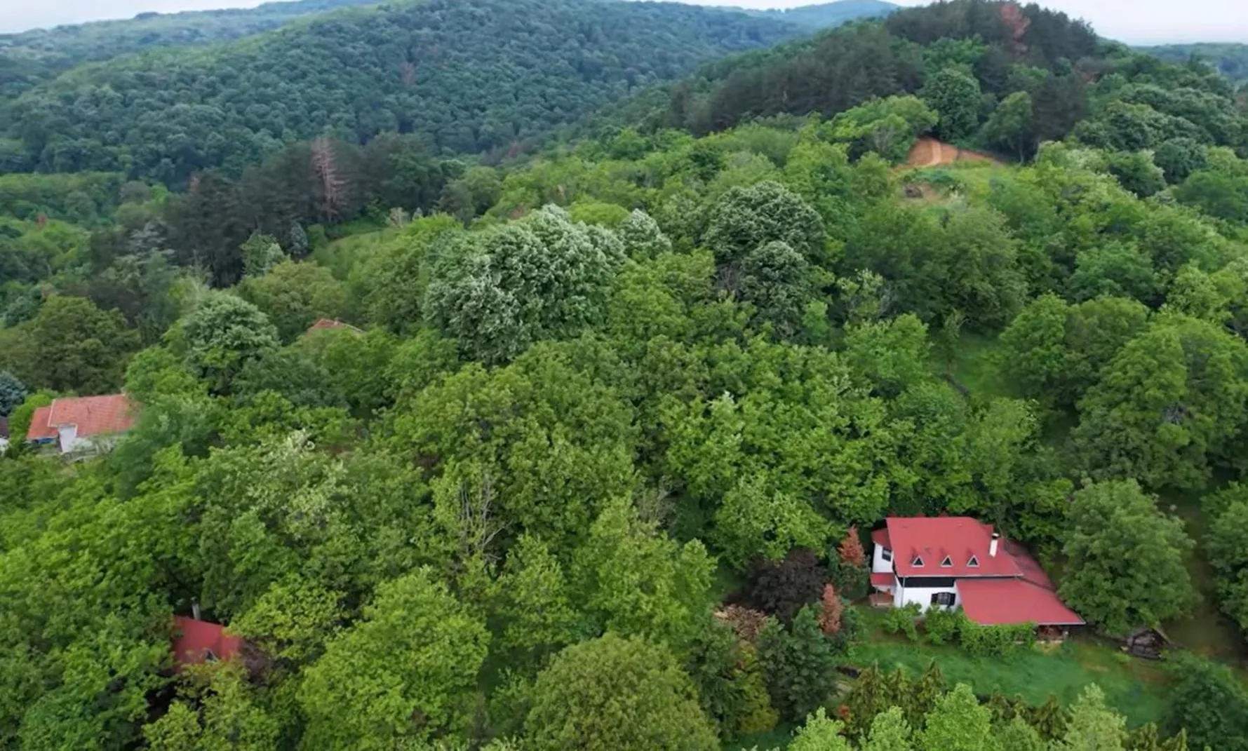 Bird's eye view in Ranč Platan - smeštaj u Nacionalnom parku Fruška gora