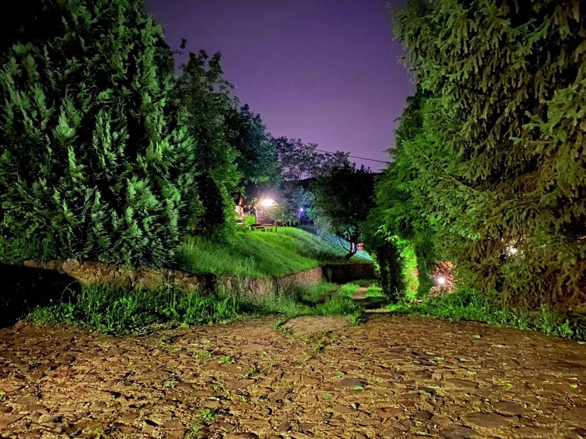 Garden view in Ranč Platan - smeštaj u Nacionalnom parku Fruška gora