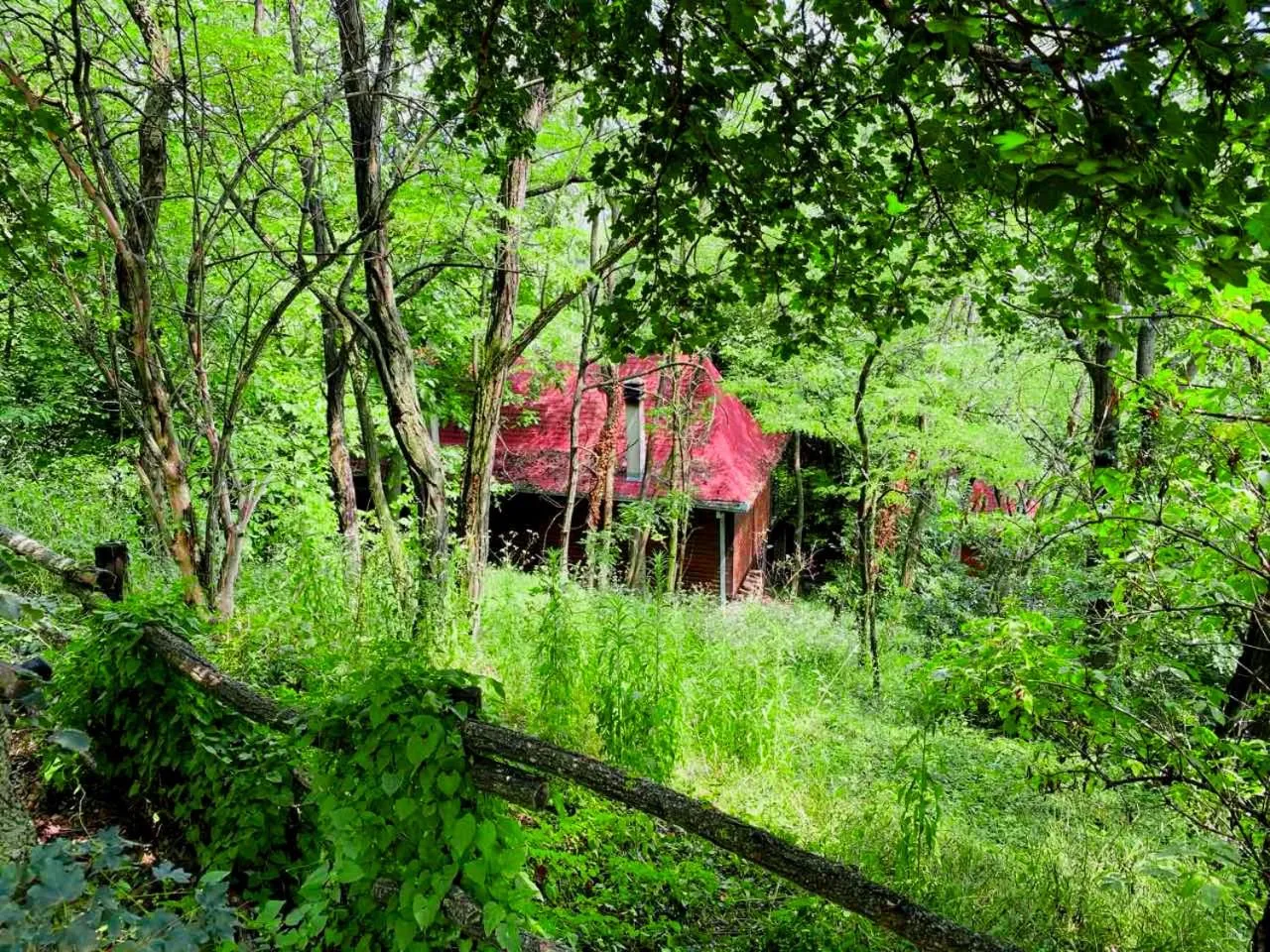 Garden in Ranč Platan - smeštaj u Nacionalnom parku Fruška gora
