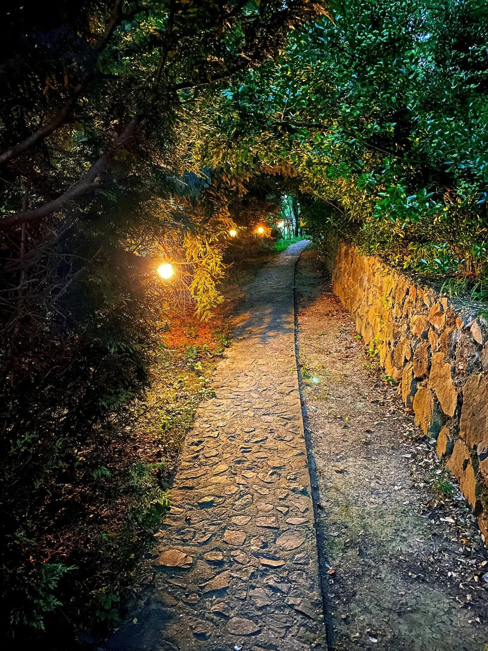 Night in Ranč Platan - smeštaj u Nacionalnom parku Fruška gora