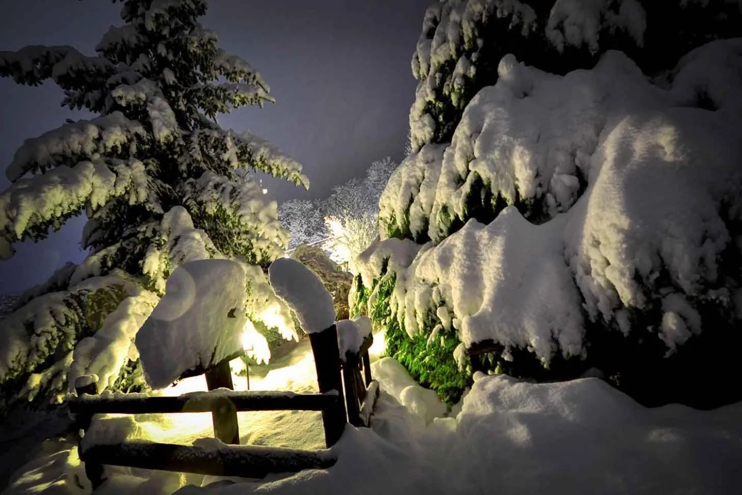 Garden view in Ranč Platan - smeštaj u Nacionalnom parku Fruška gora