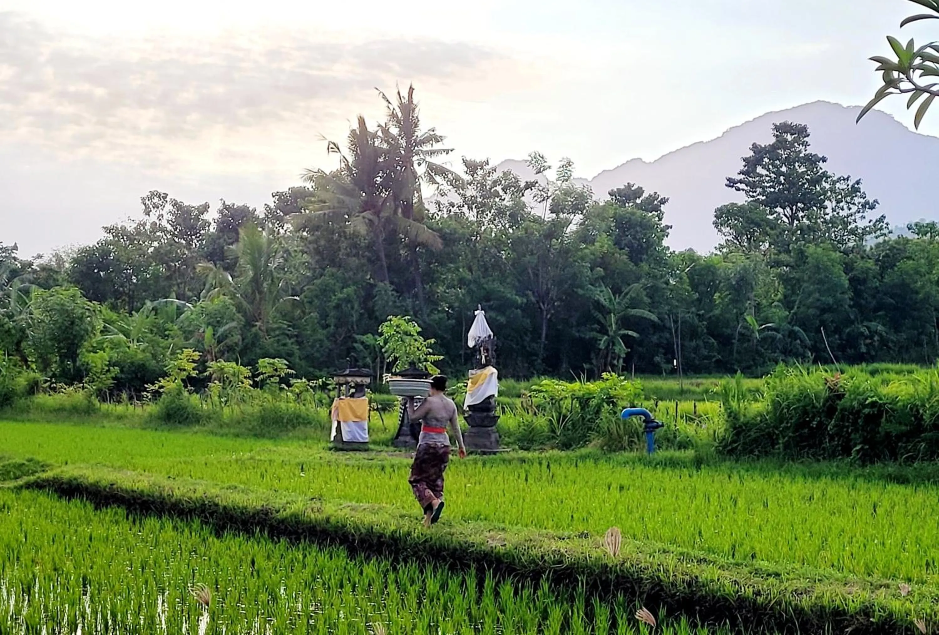 People in Umma Bali Menjangan Retreat