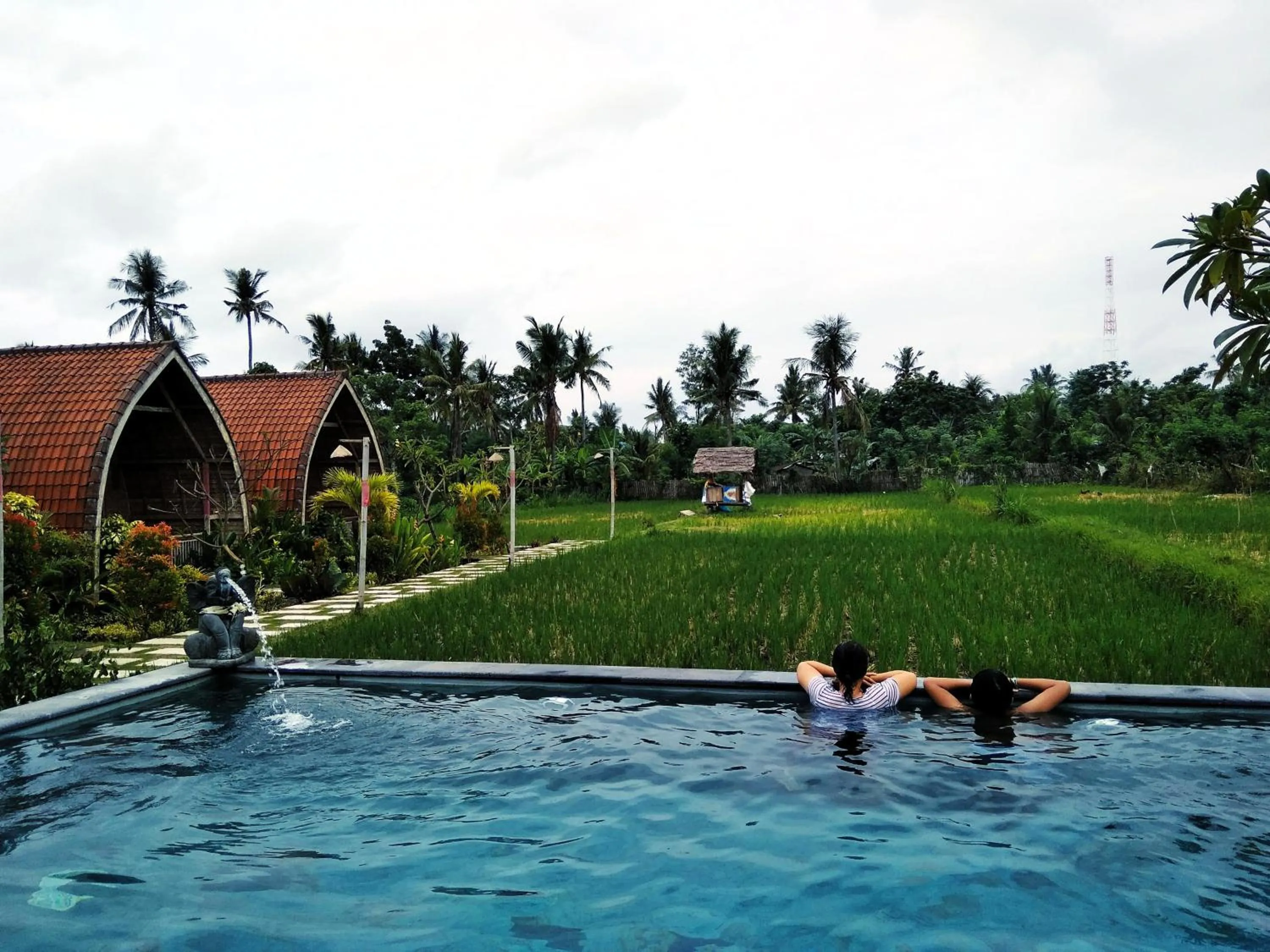 People in Umma Bali Menjangan Retreat