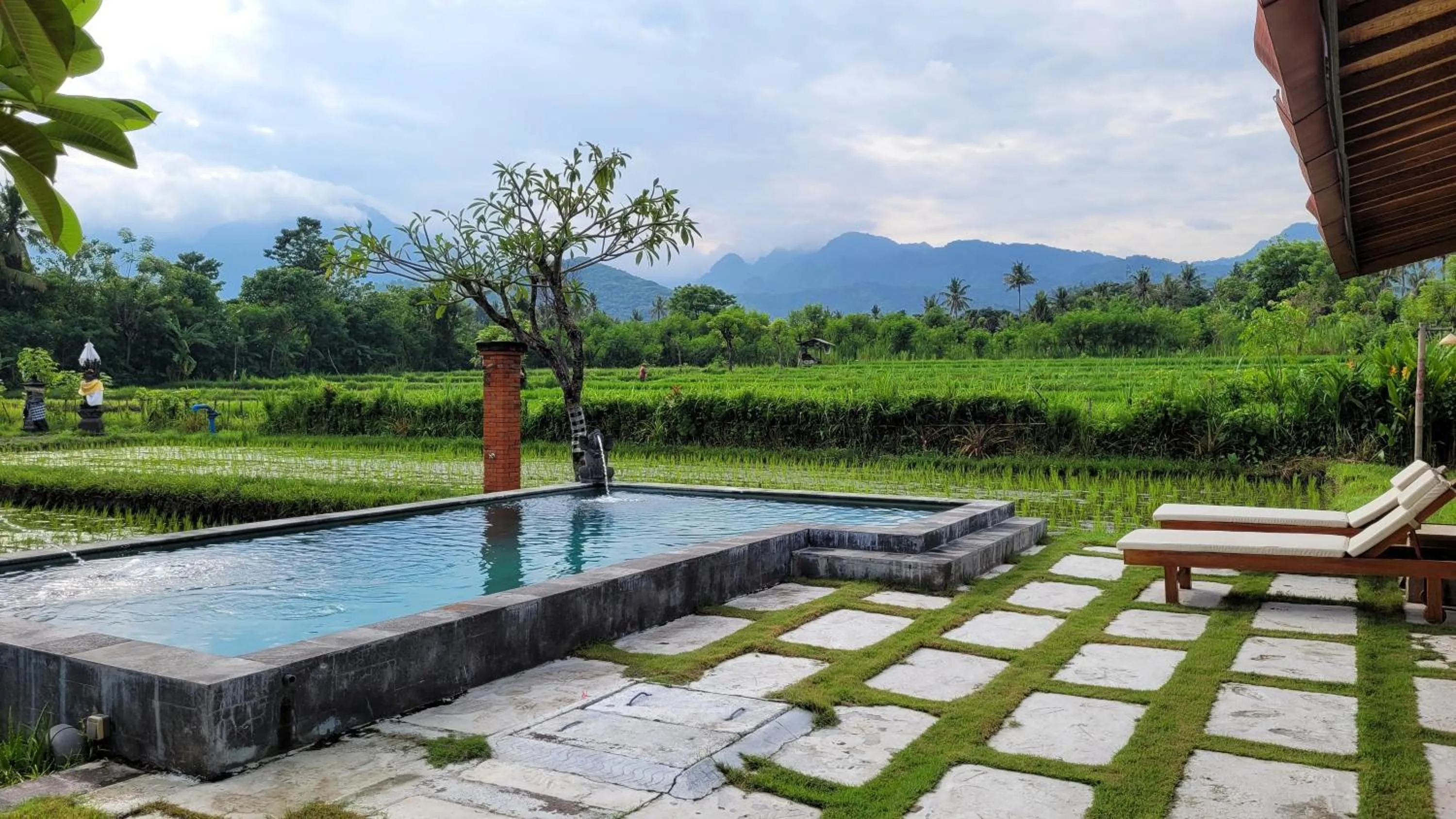 Day in Umma Bali Menjangan Retreat