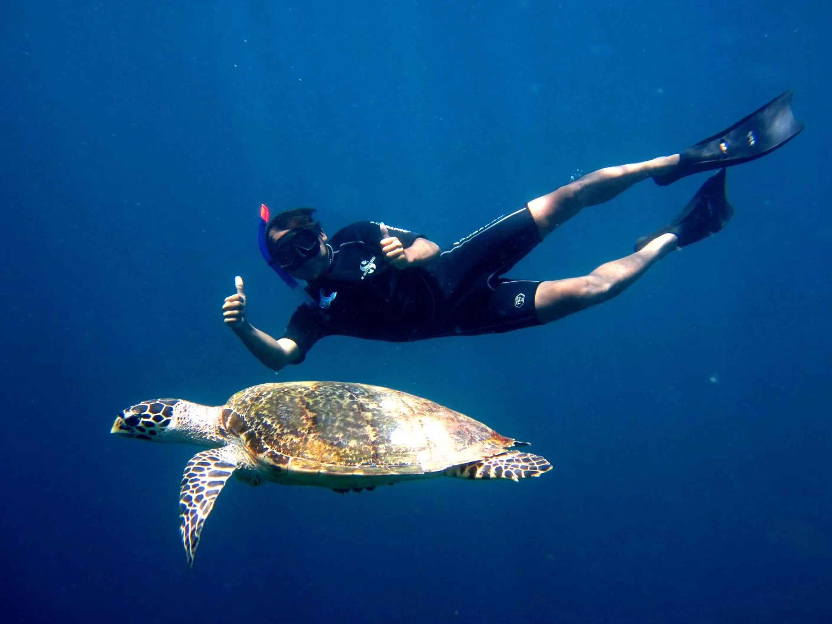 Activities in Umma Bali Menjangan Retreat