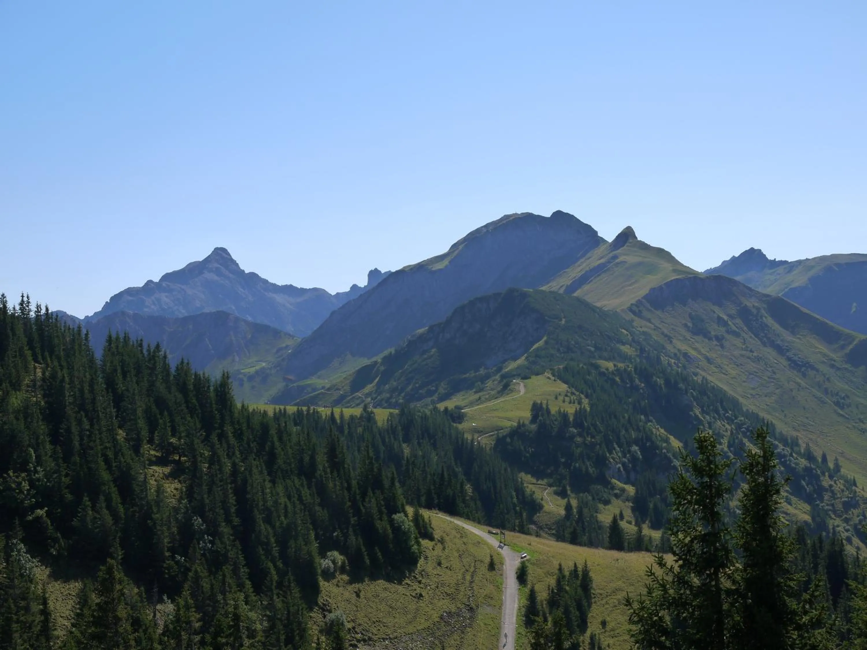 Natural landscape in Hotel Anneliese