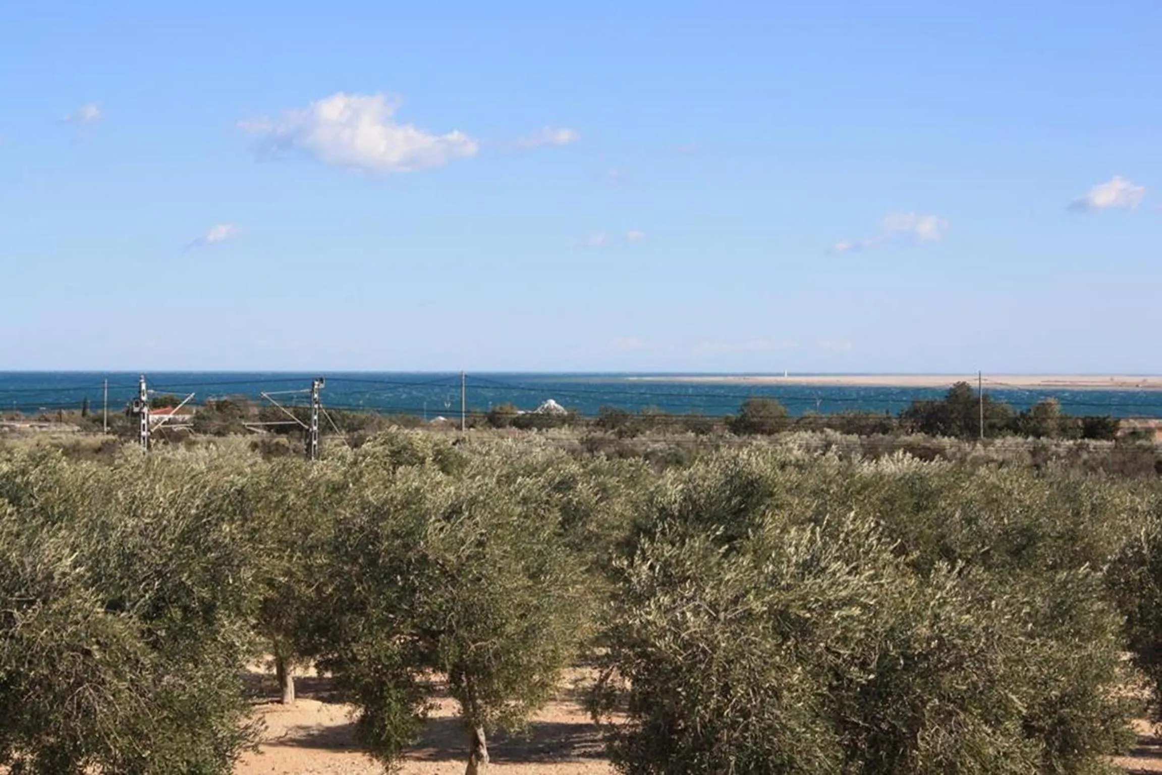 View (from property/room) in Cau d'Amor