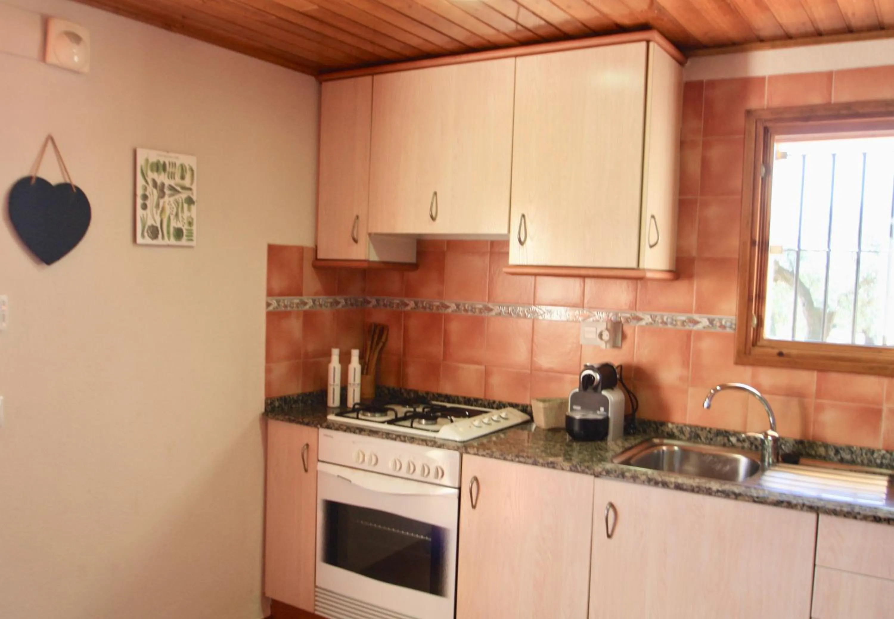Kitchen or kitchenette in Cau d'Amor