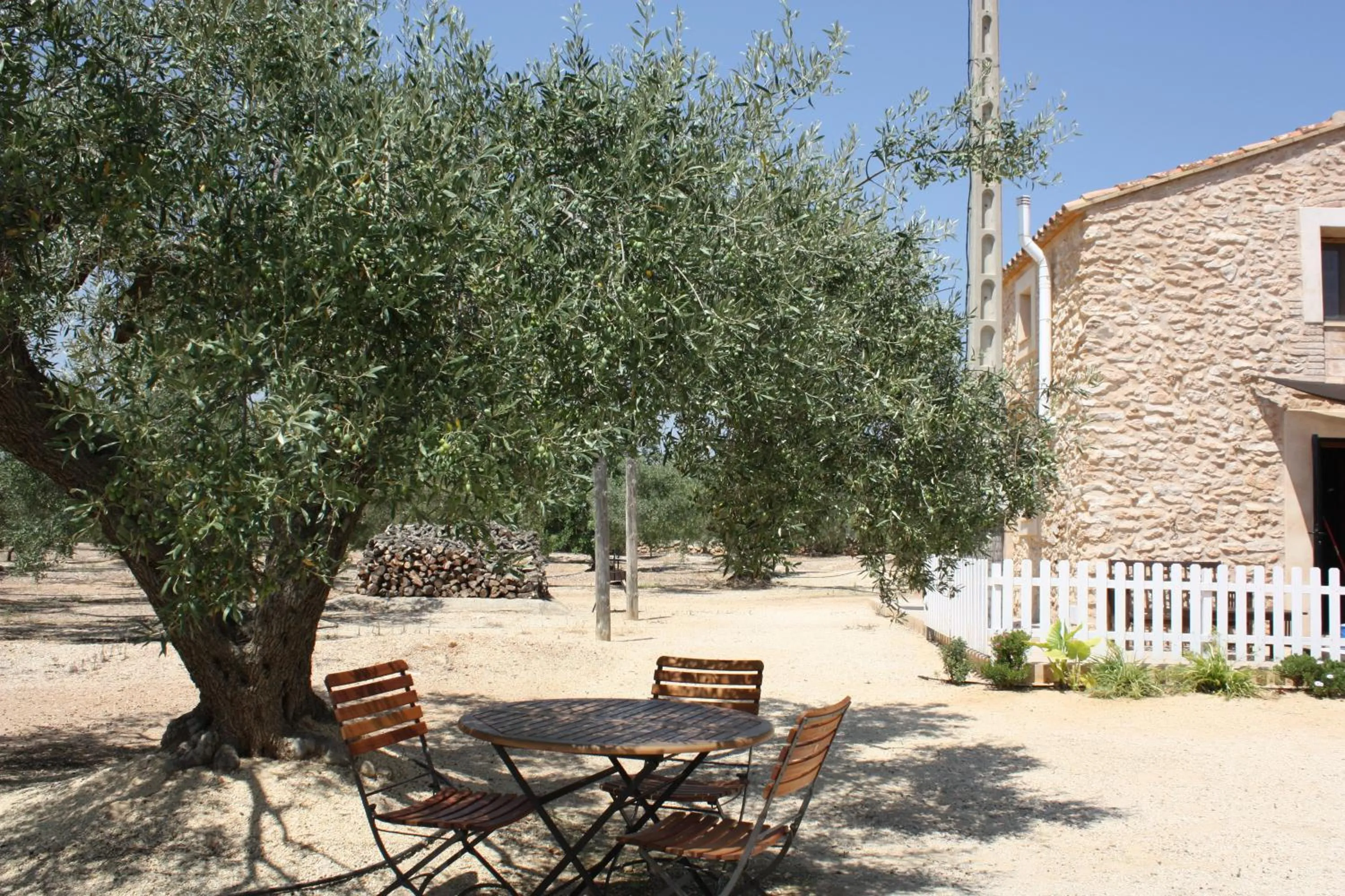 BBQ facilities in Cau d'Amor