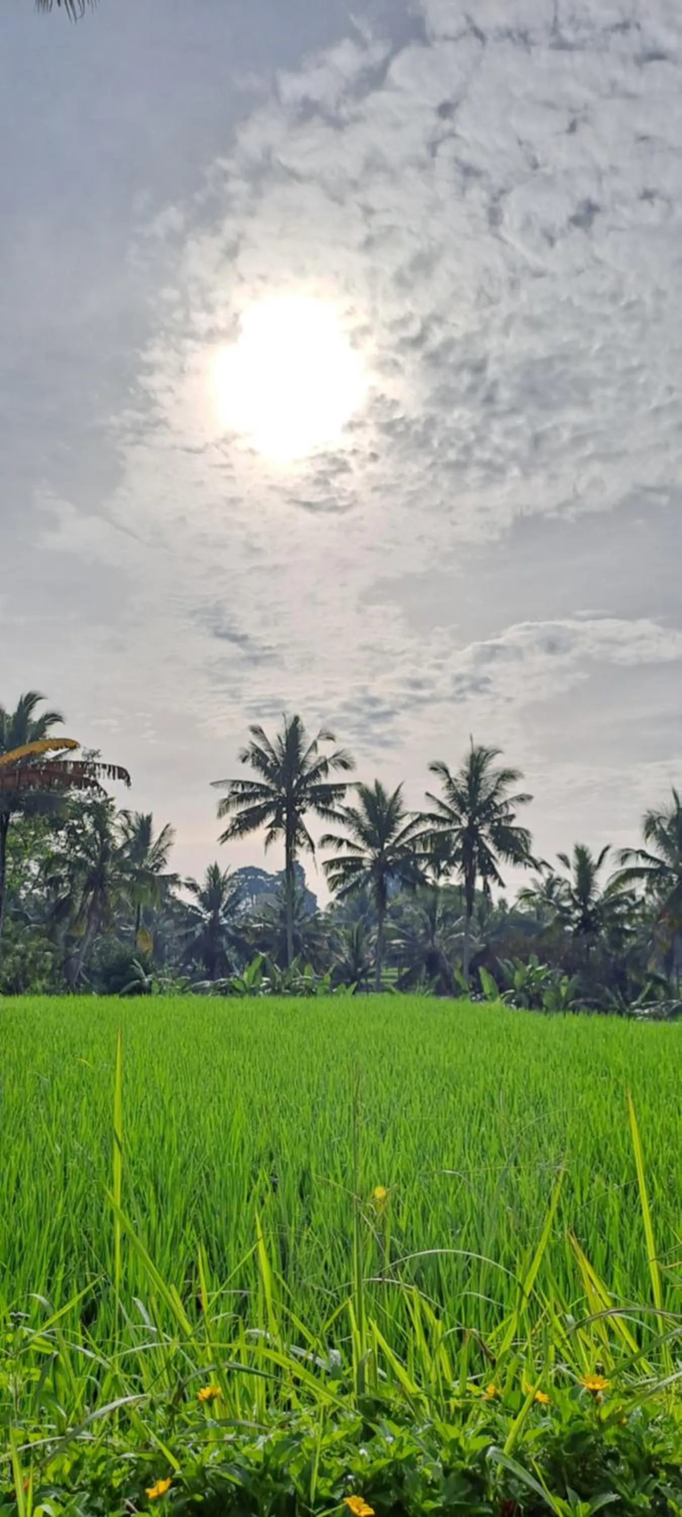 Day in Galang hari villa