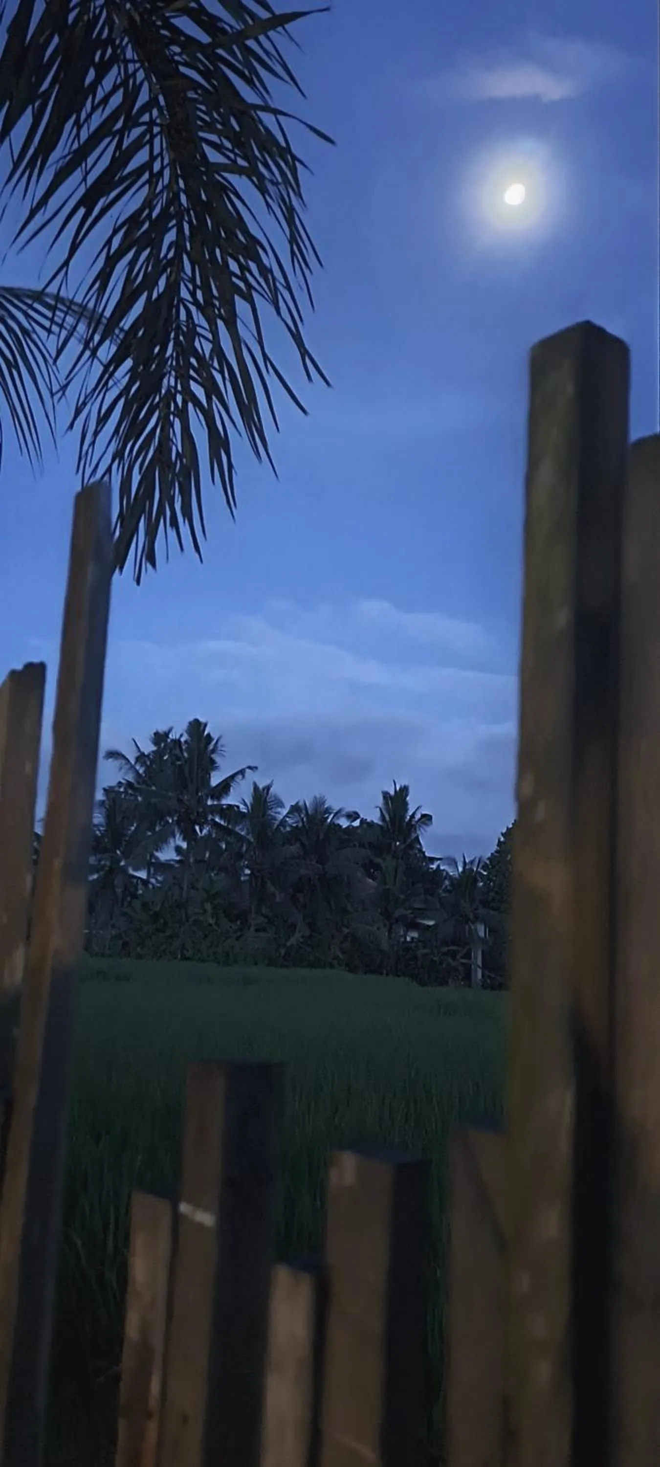 Night in Galang hari villa