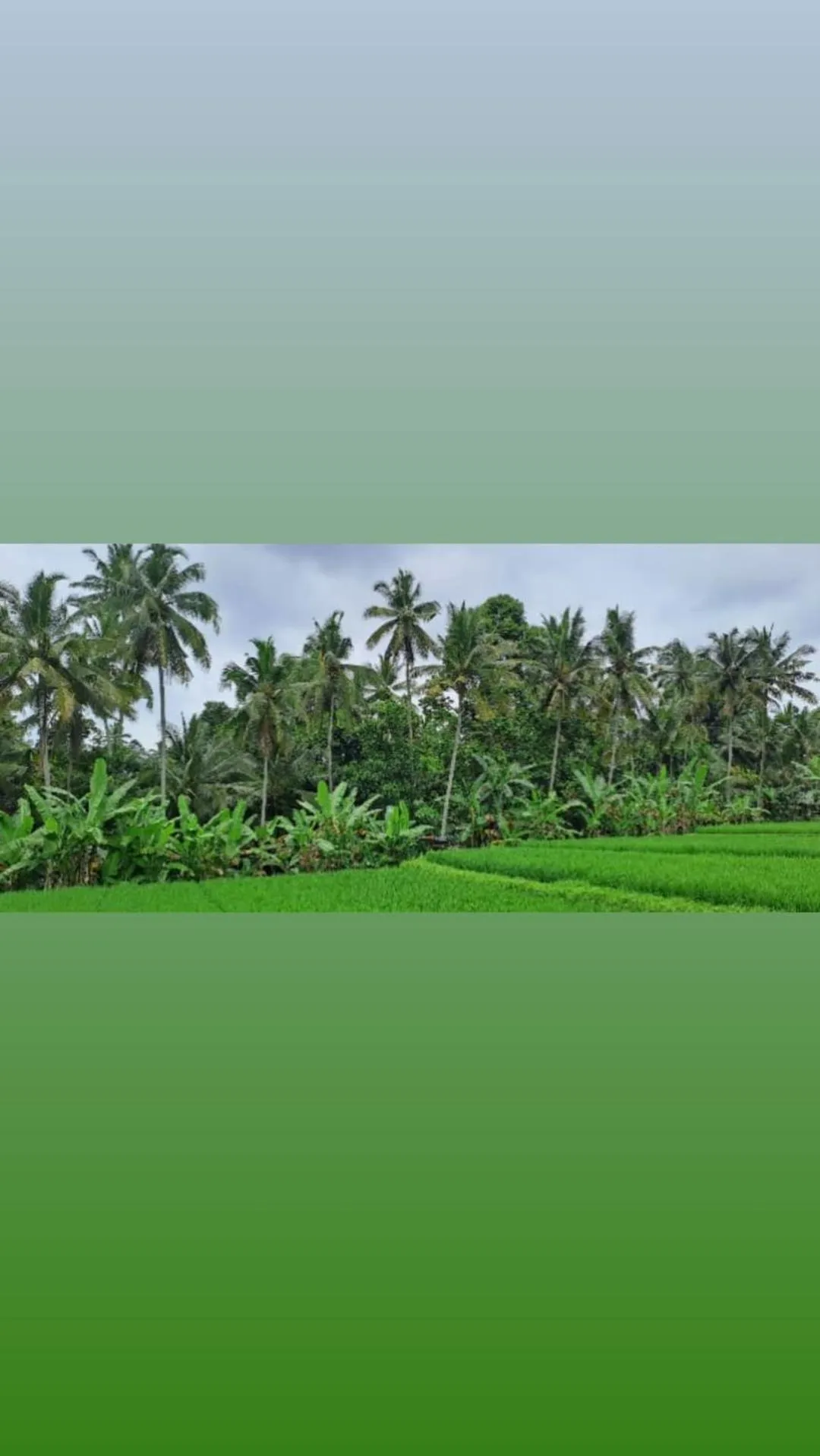 Day in Galang hari villa