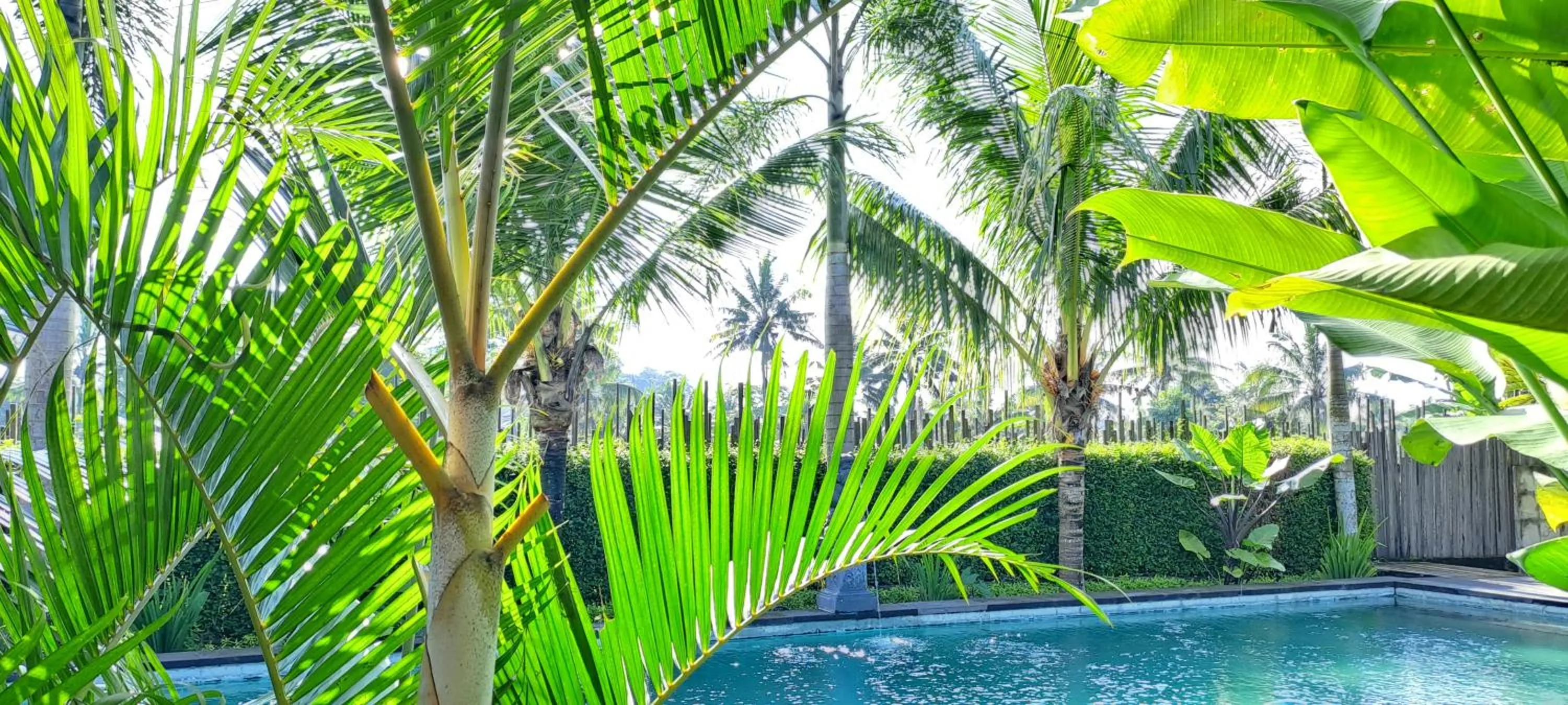 Day in Galang hari villa