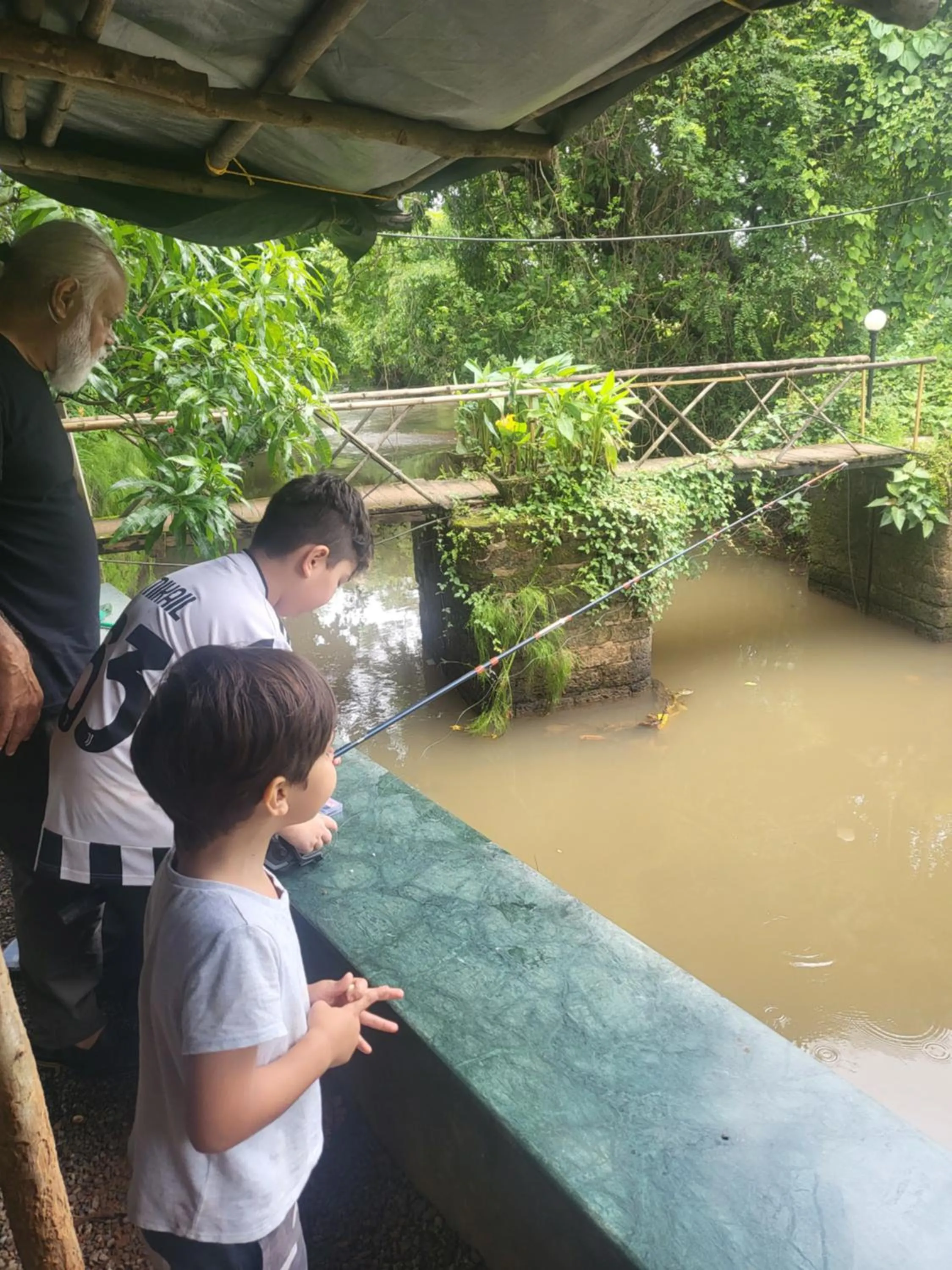 Restaurant/places to eat in The Hammock Goa