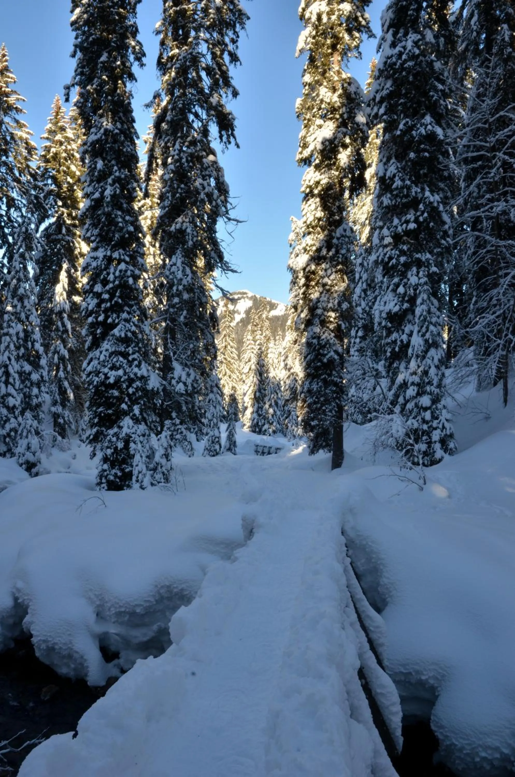 Off site in Les Gentianettes Hotel & Spa