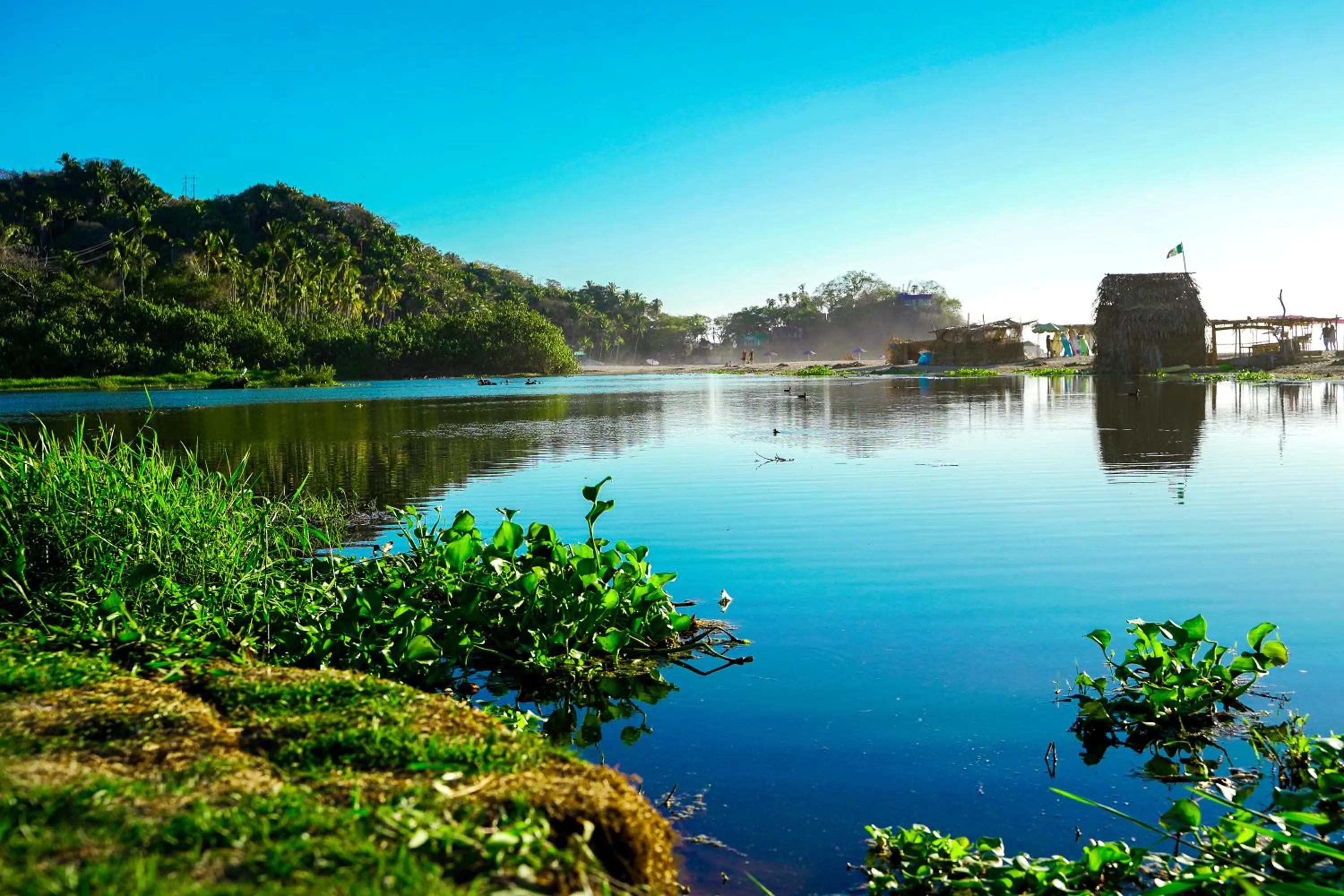 Natural landscape in Hotel Ysuri San Pancho