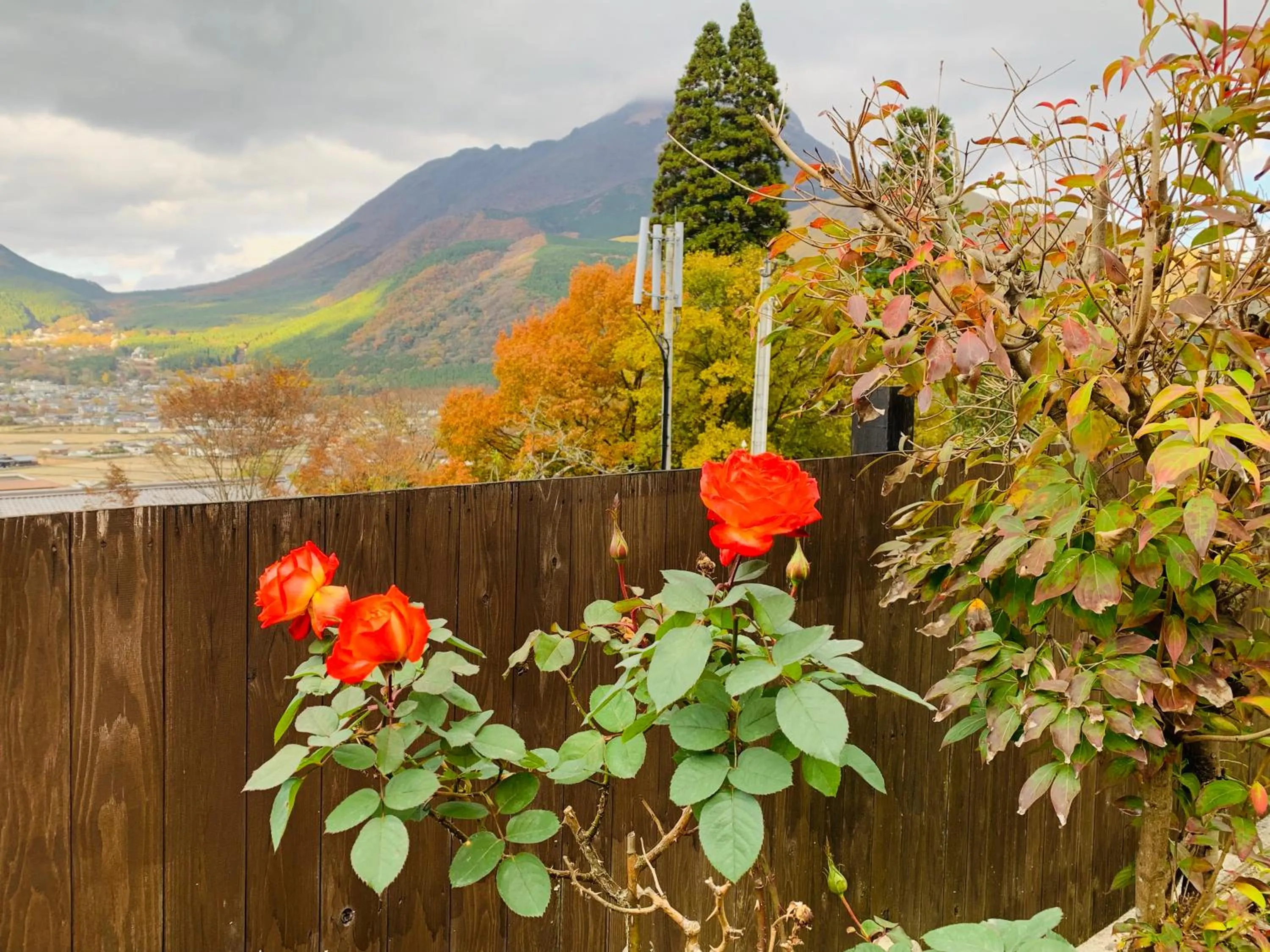 Garden in Yufuin-Sanso Waremokou