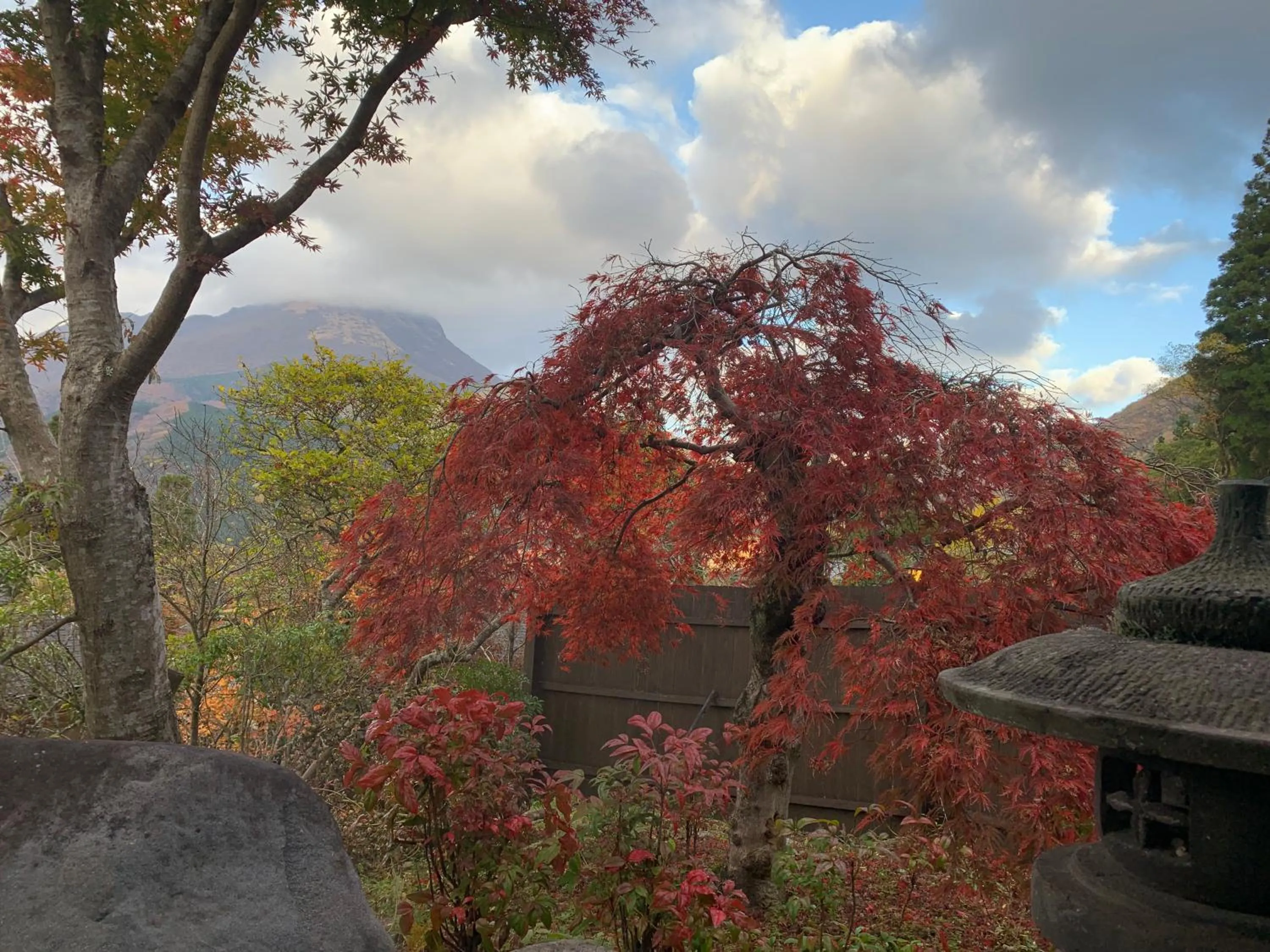 Mountain view in Yufuin-Sanso Waremokou