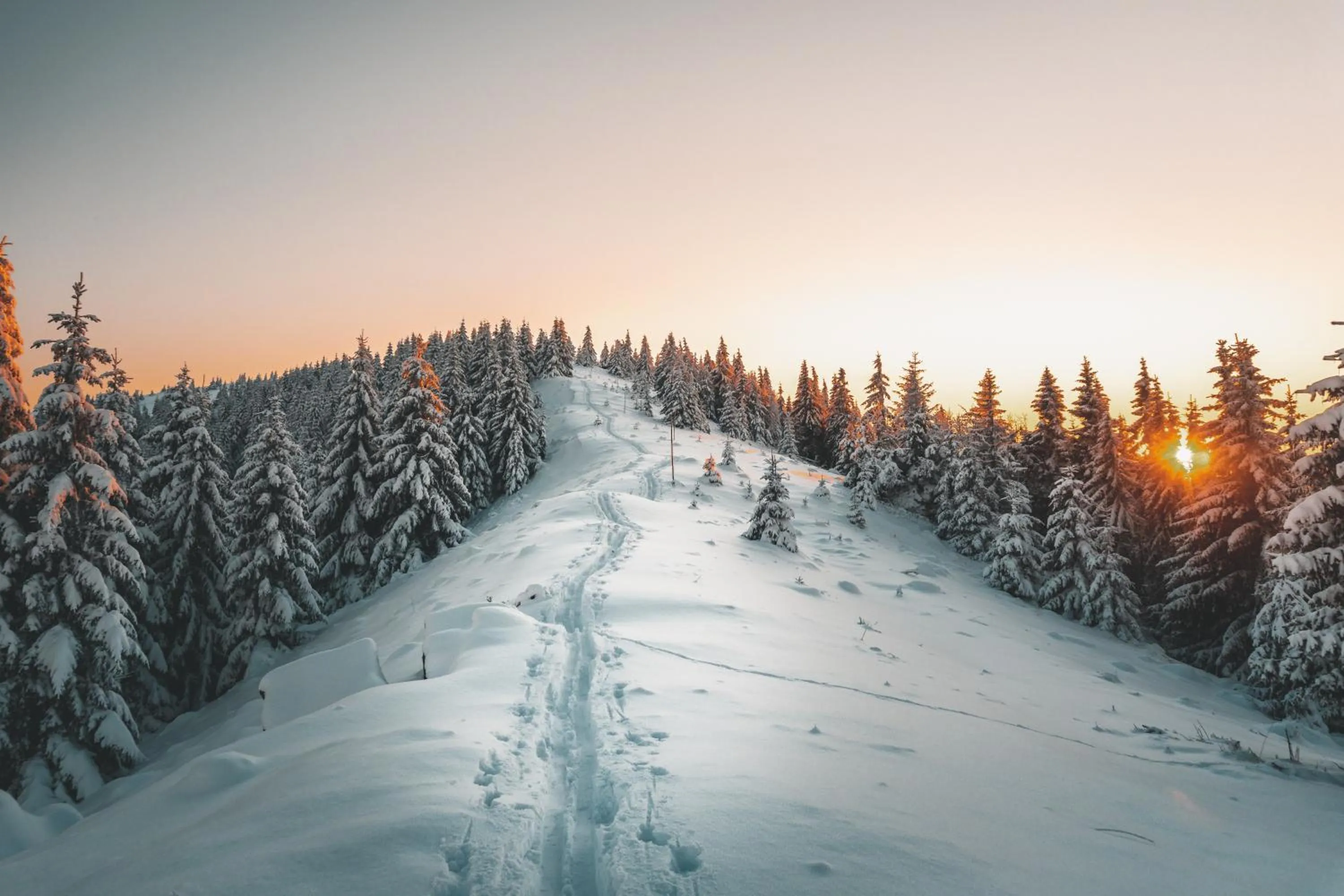 Activities in Residence Hotel