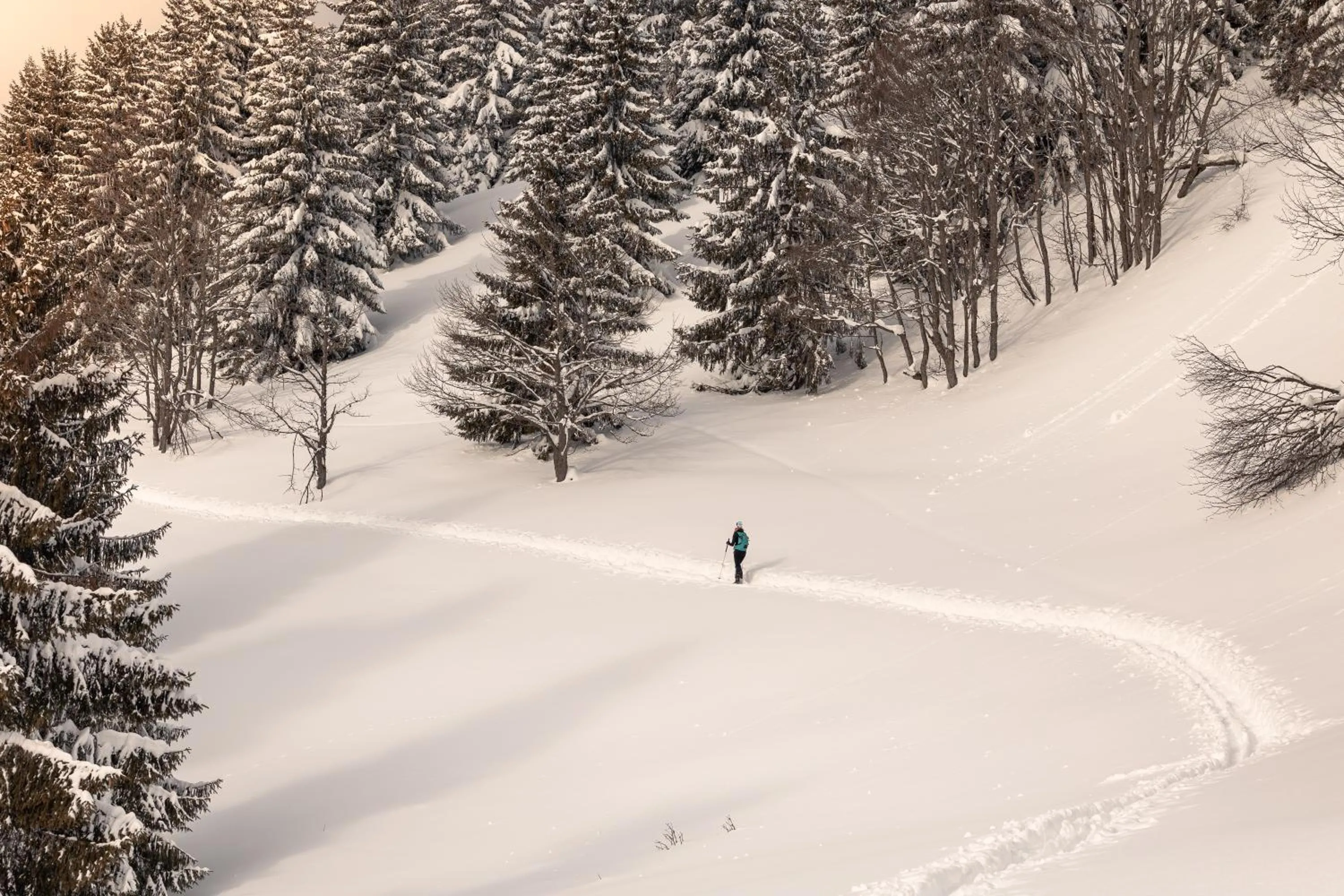 Activities in Residence Hotel