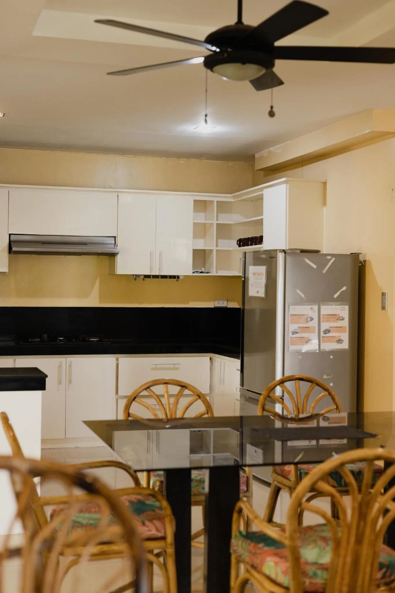 Kitchen or kitchenette in Amami Beachfront Villa with Private Beach