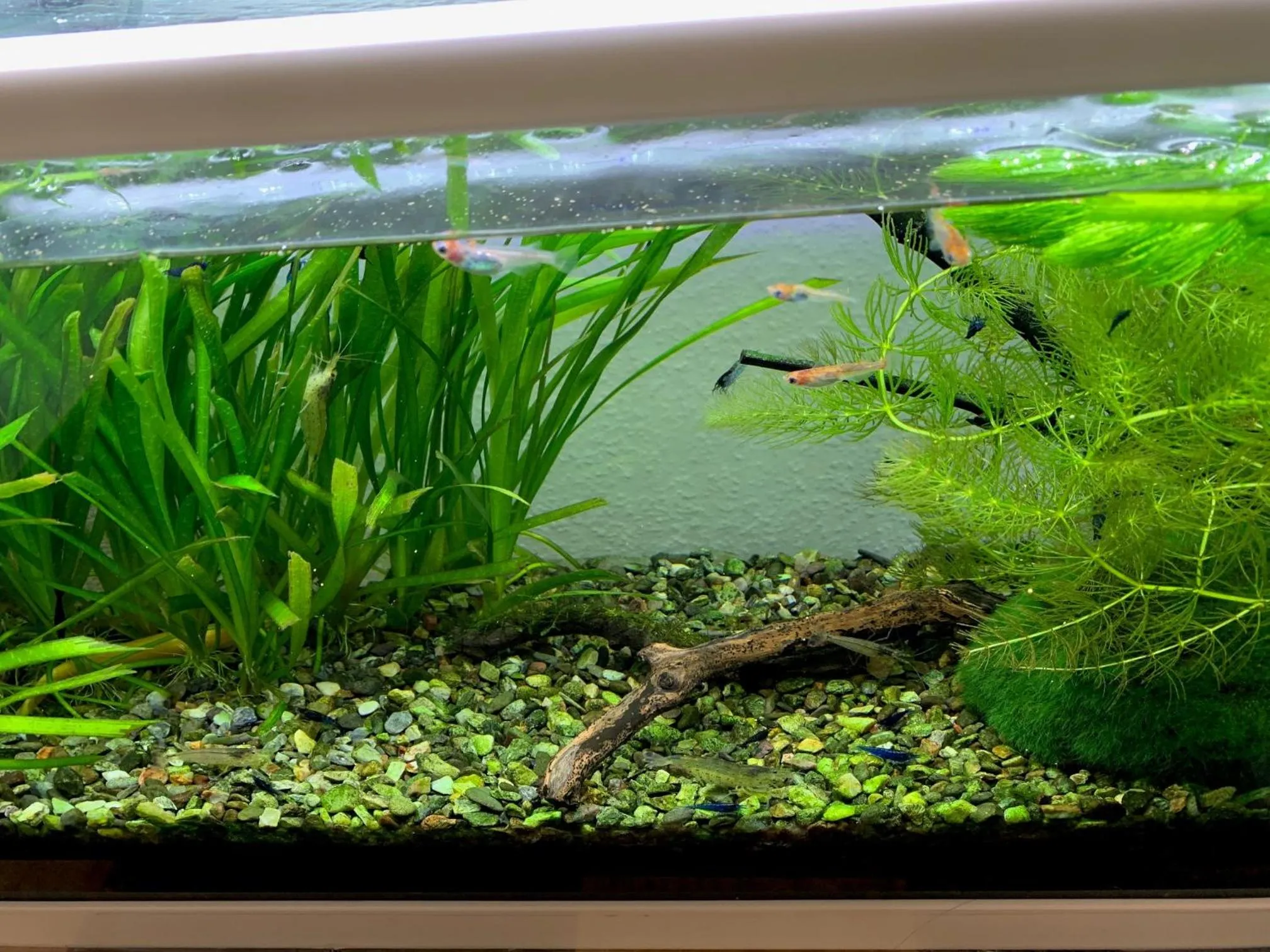 Natural landscape in Shinjuku Miyabi Residence