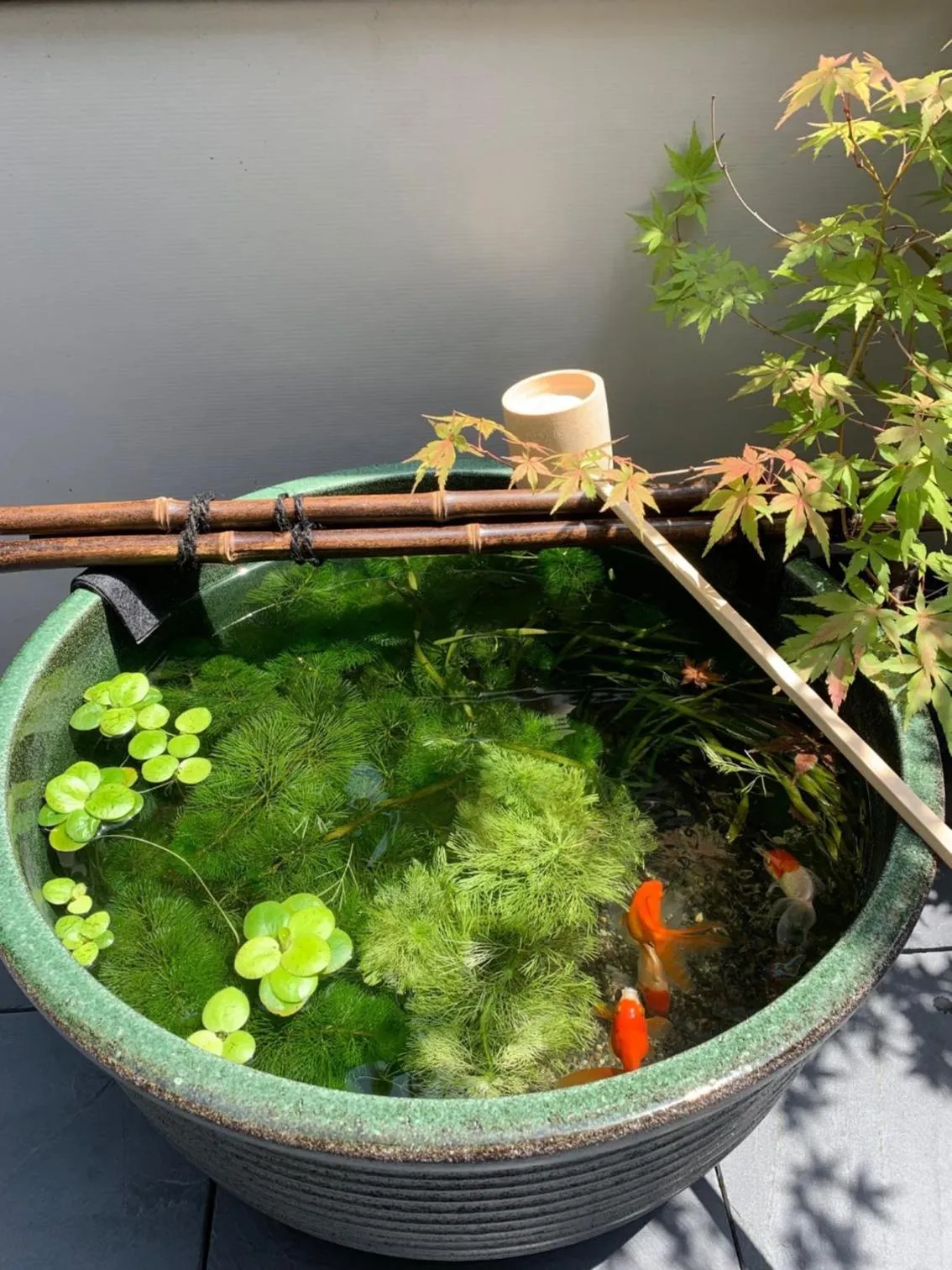 Balcony/Terrace in Shinjuku Miyabi Residence