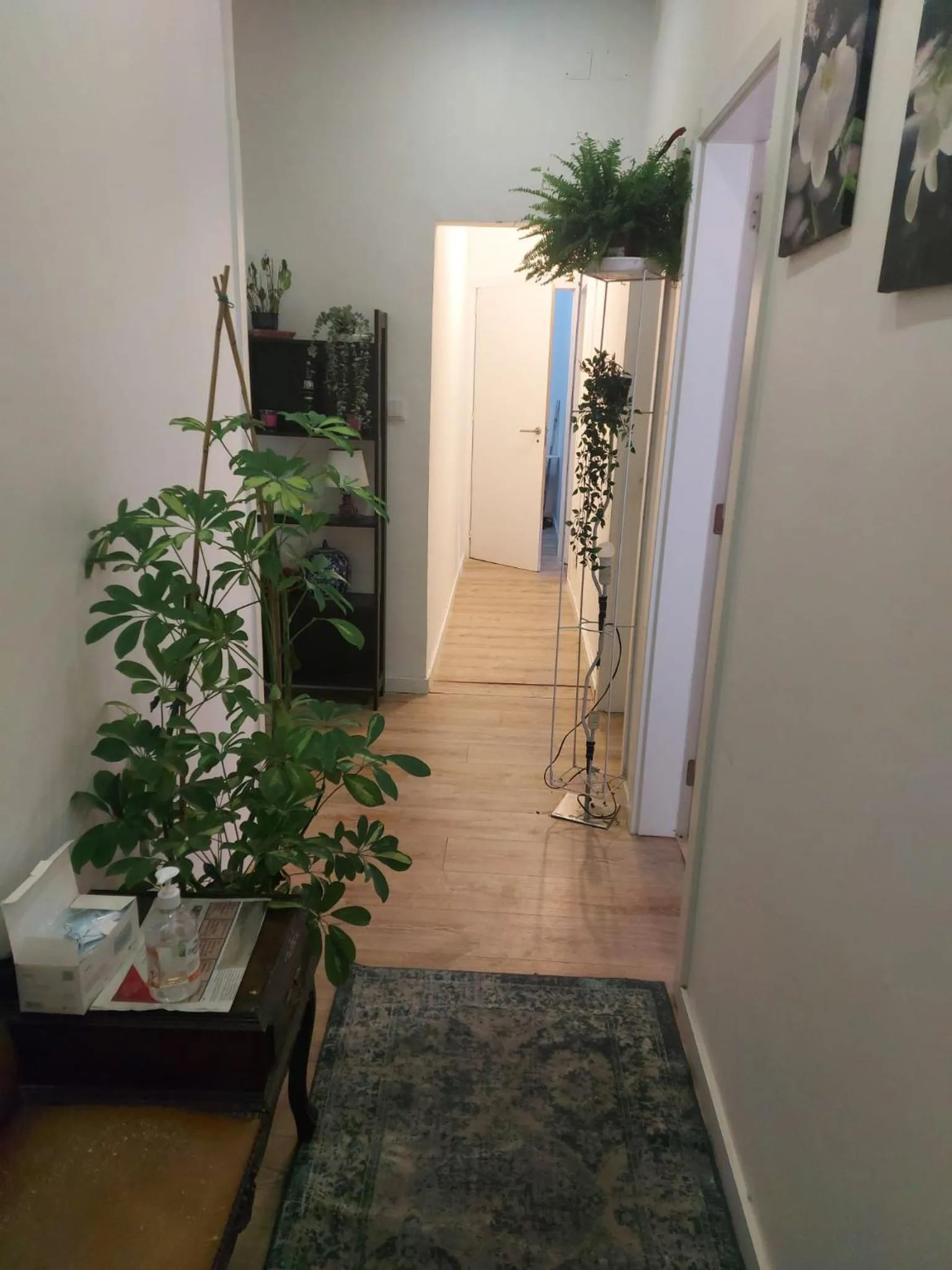 D&N Hospedagem Lisboa