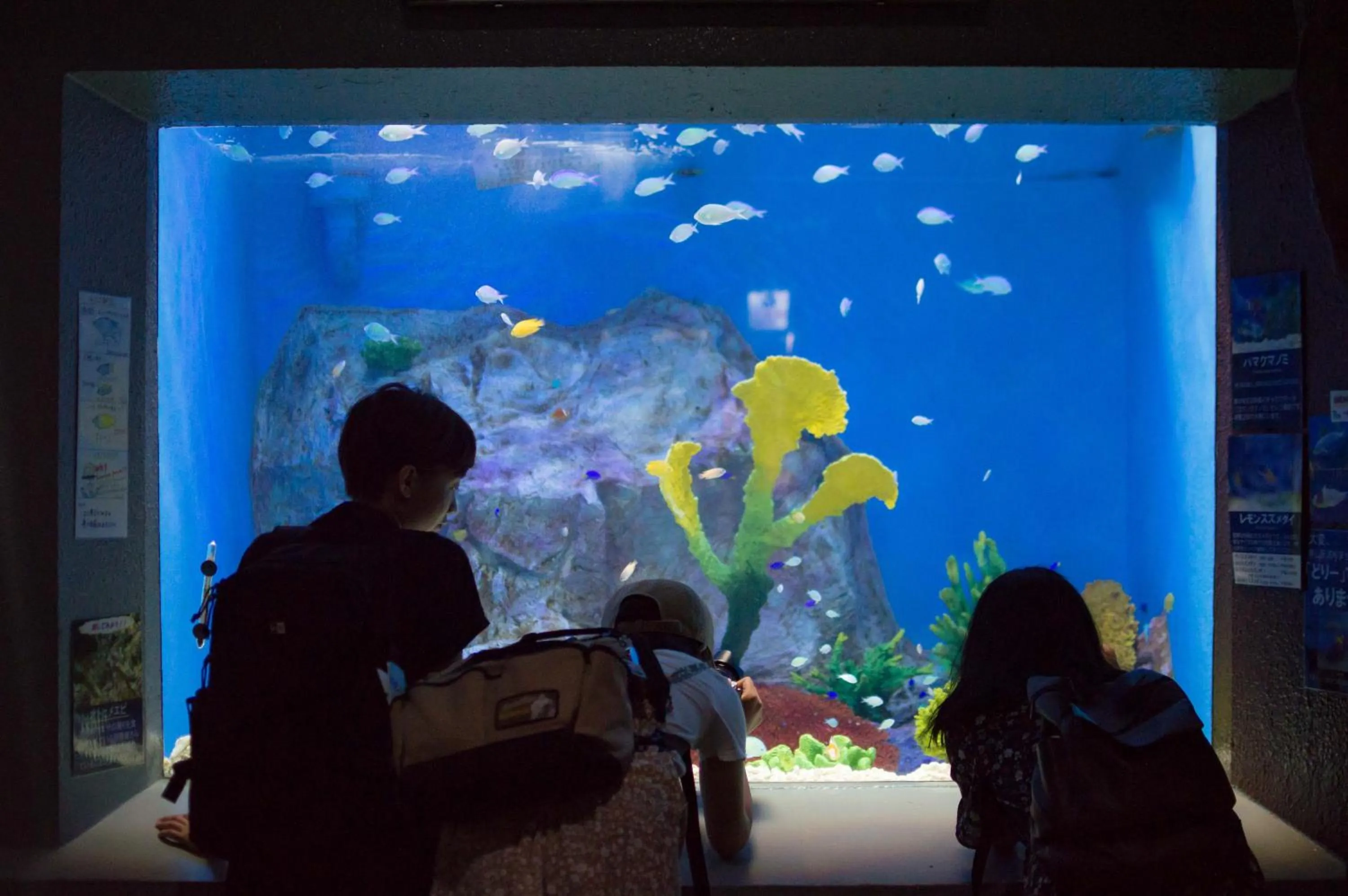 Off site in The Apartment Hotels KOU