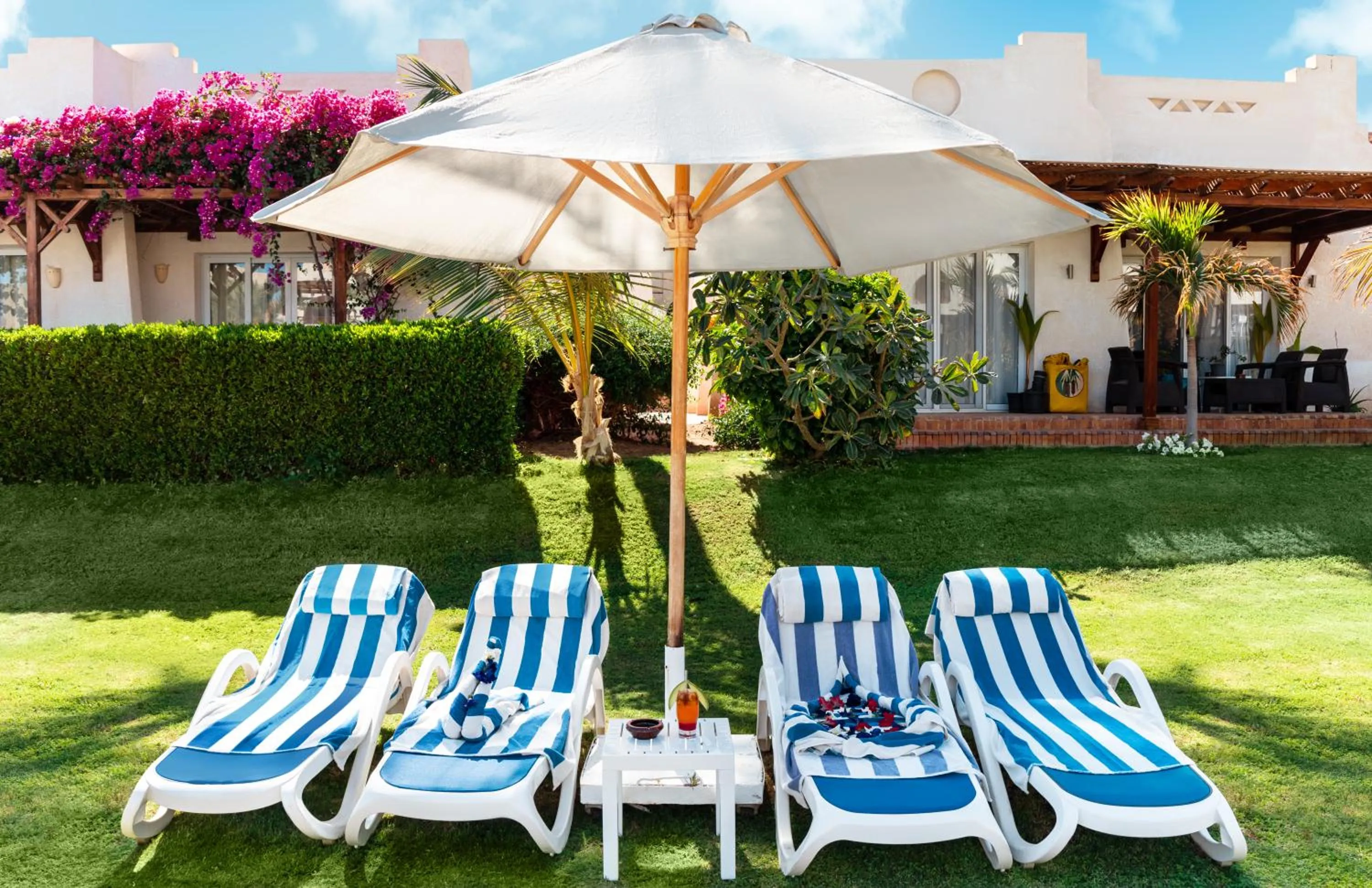 Garden in Sharm Dreams Vacation Club - Aqua Park