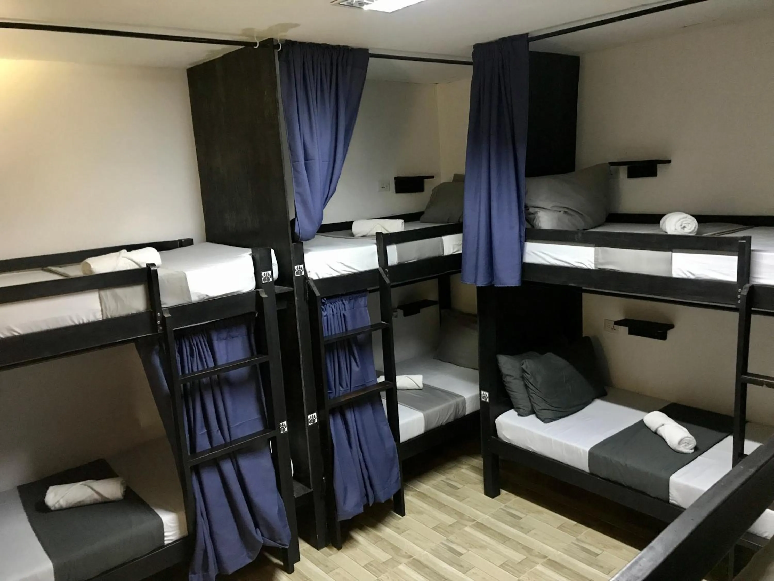 Bed in Crazy Bears Hostel