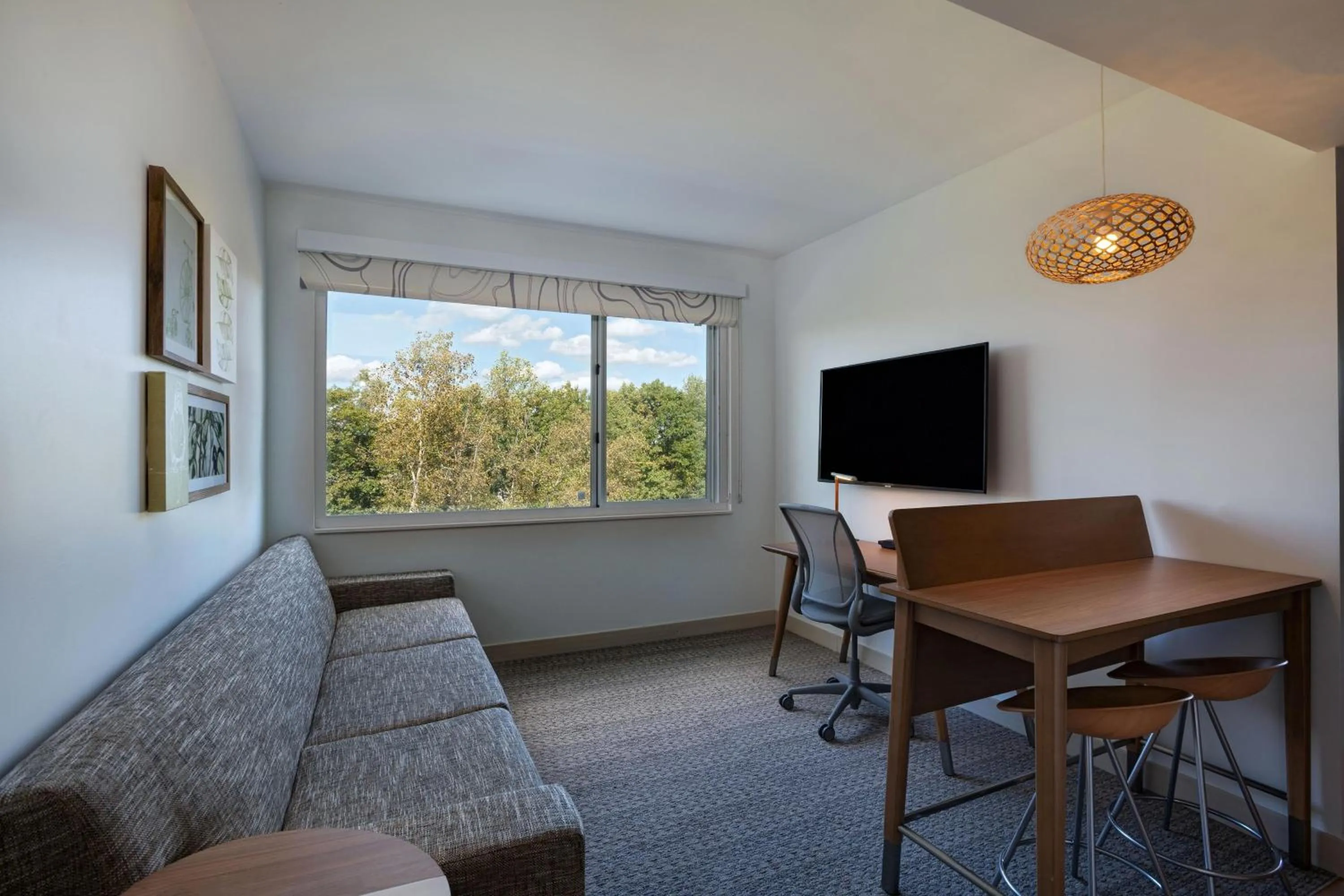 Living room in Element Spring Valley
