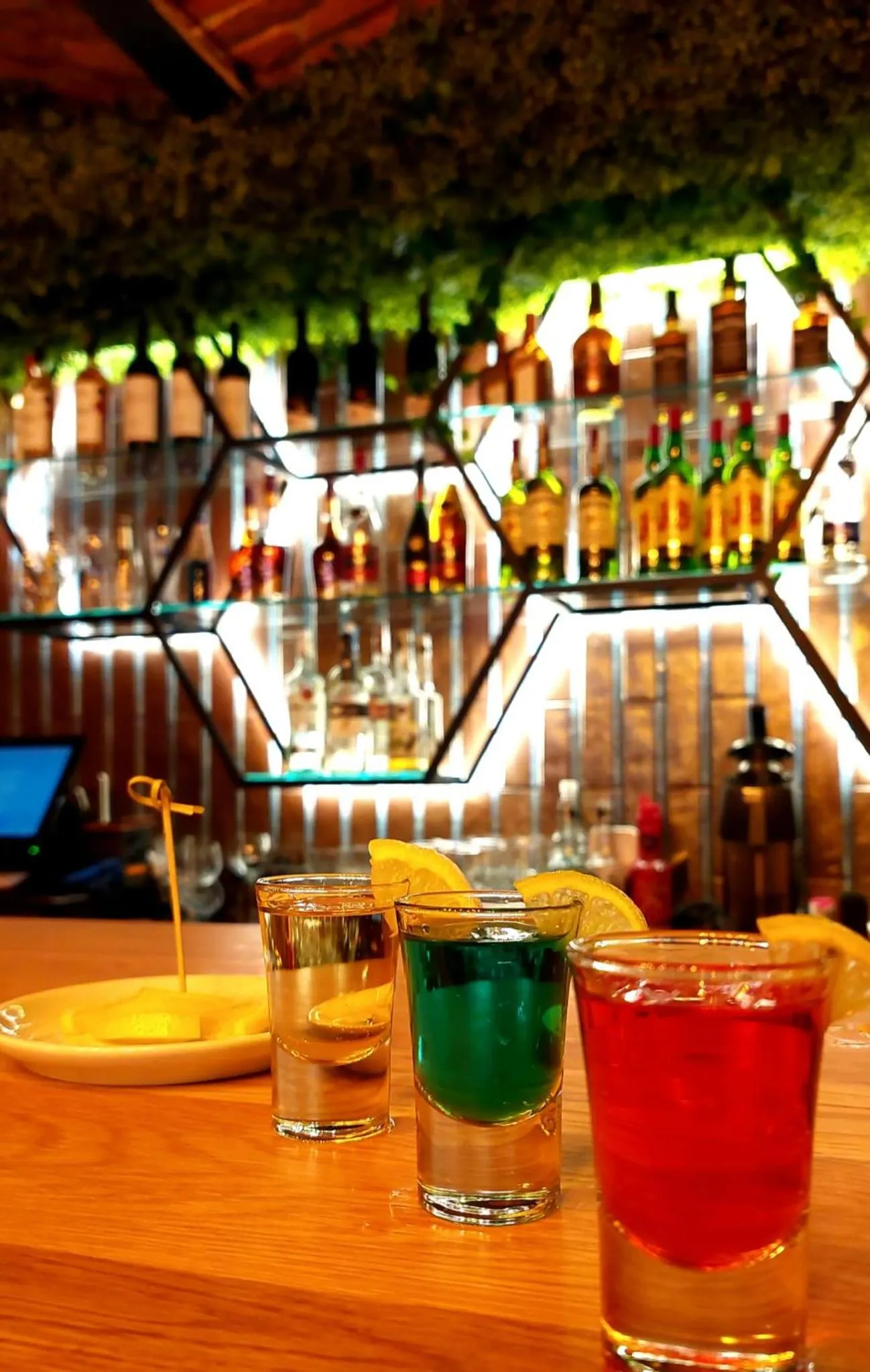 Lounge or bar in Hotel Buchenland