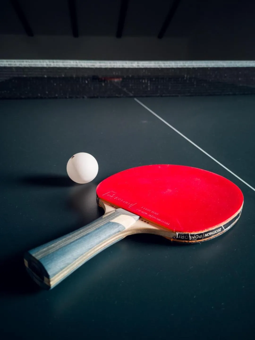 Table tennis in Hotel Buchenland