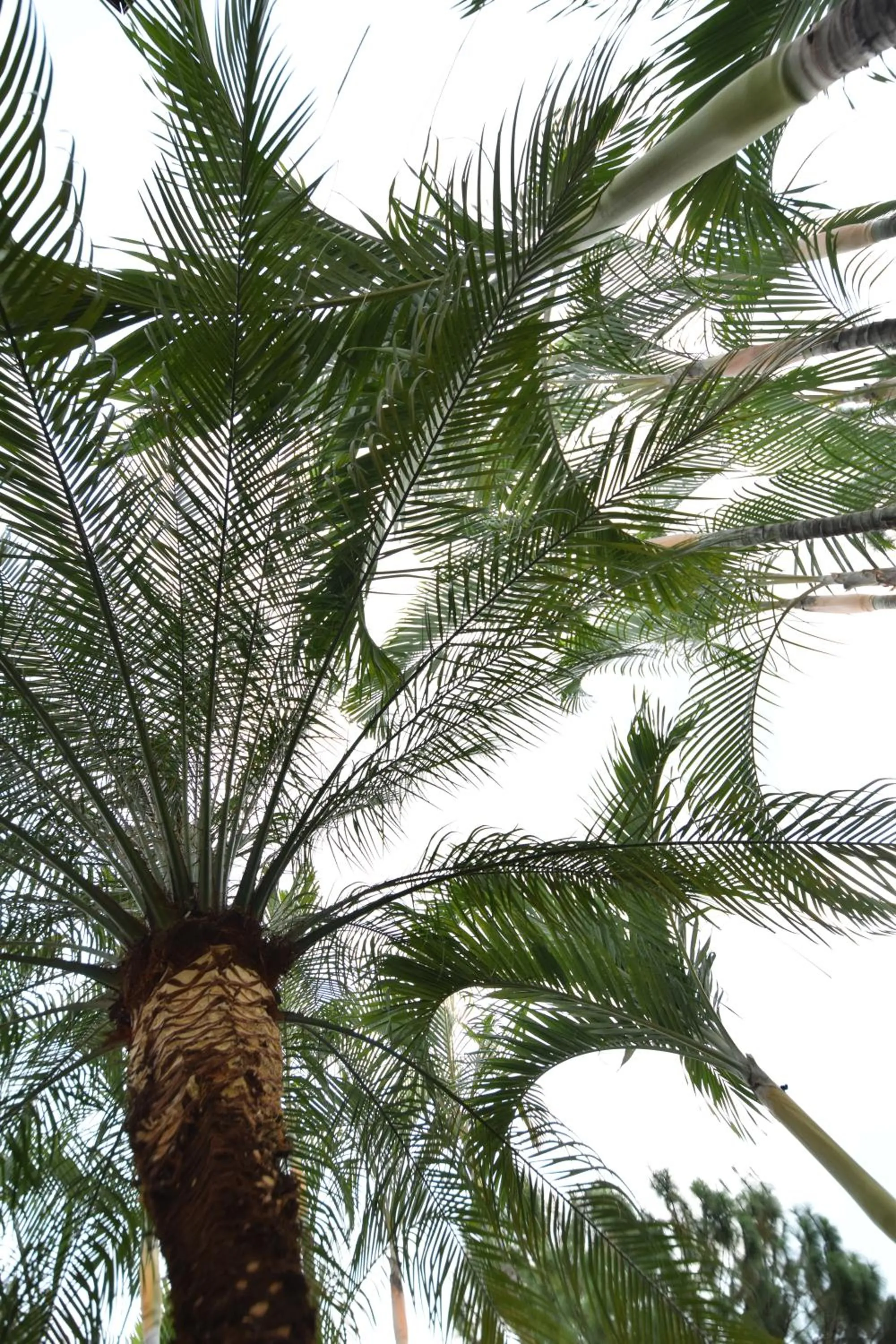 Natural landscape in Zafra Hotel