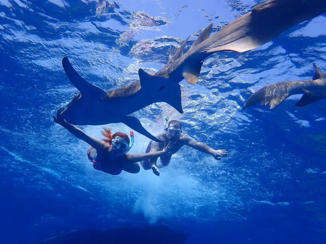 Natural landscape in Athens View