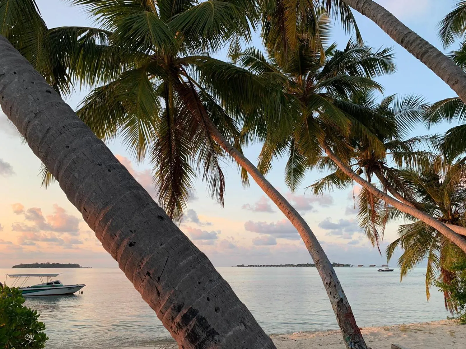 Off site in Athens View