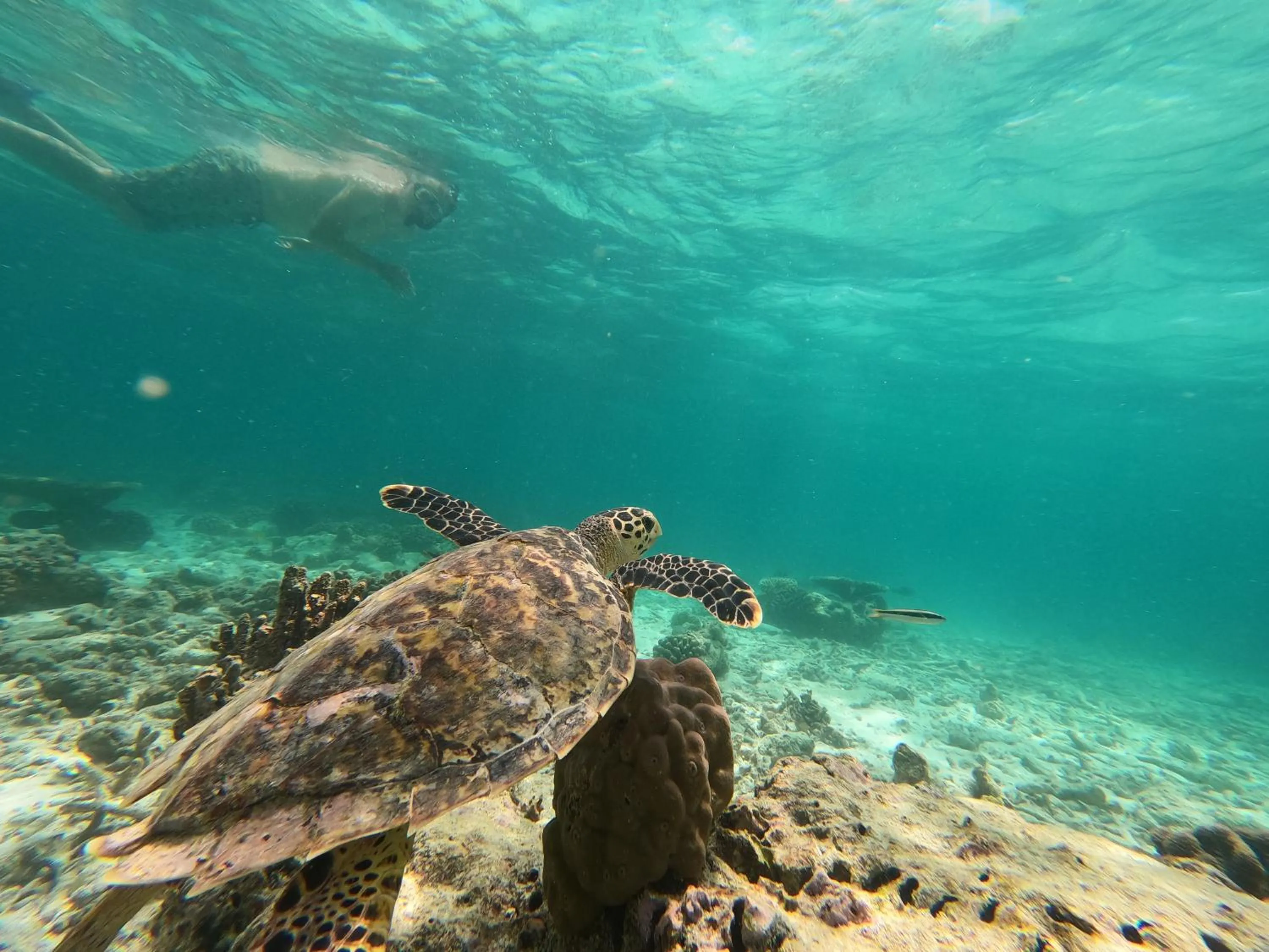 Activities in Athens View